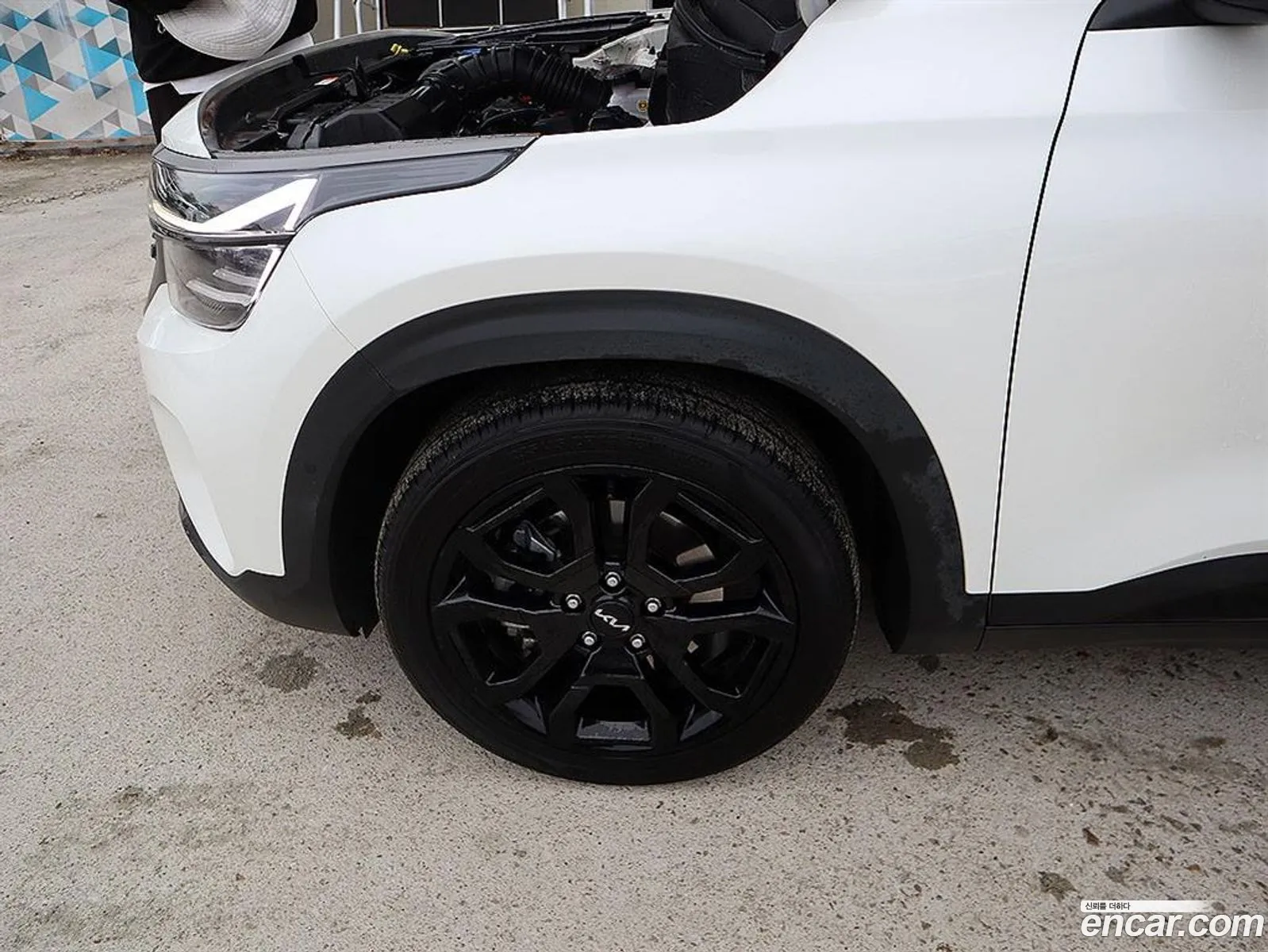 Kia Seltos 2023 — 14