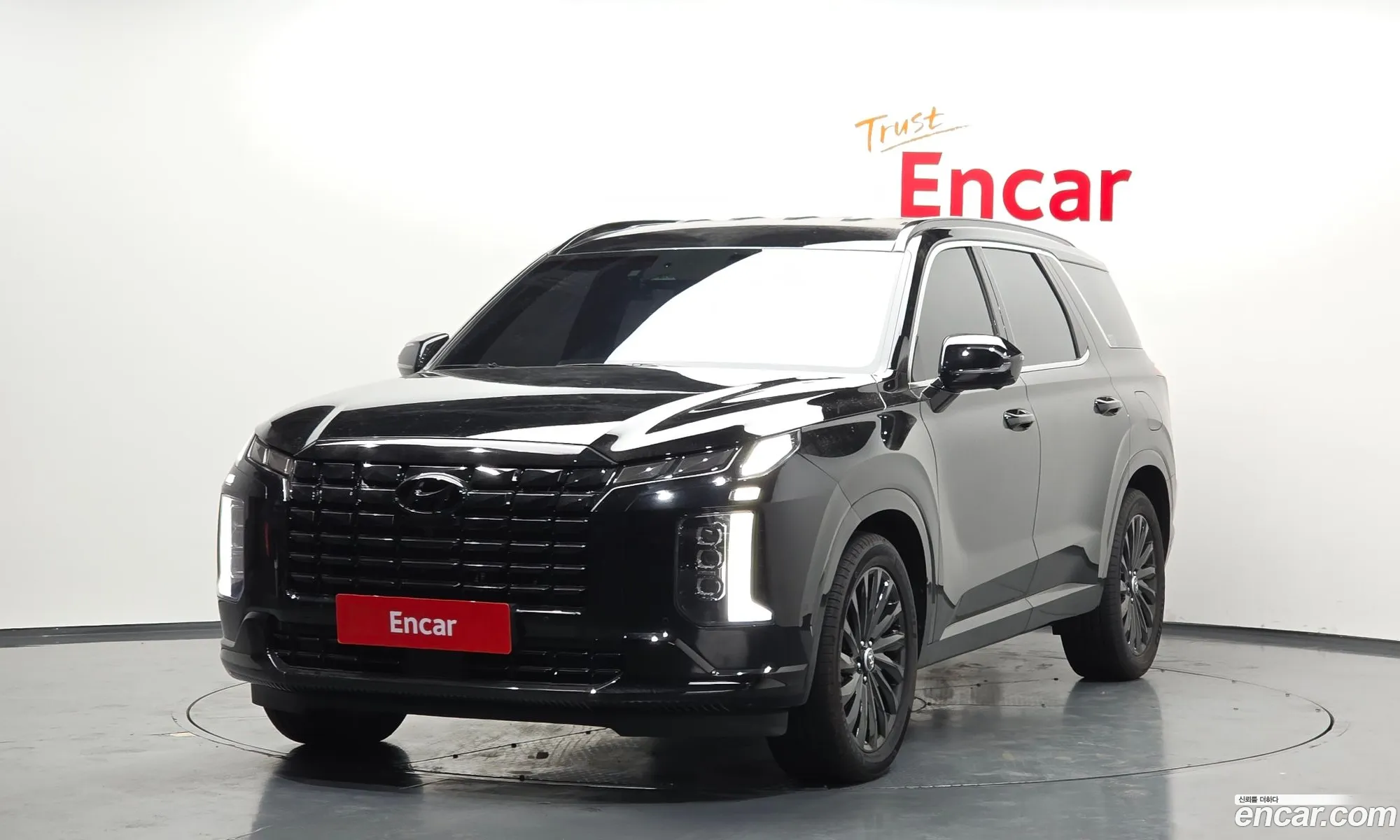 Hyundai Palisade 2024 — 14