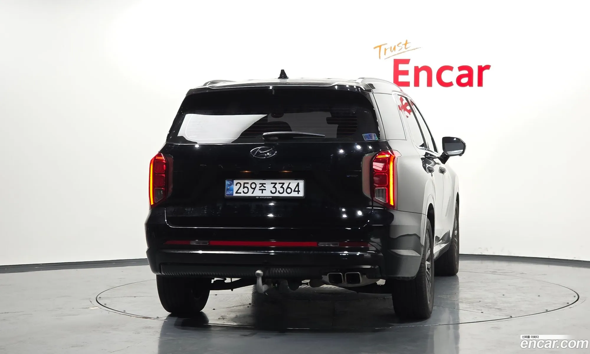 Hyundai Palisade 2024 — 10