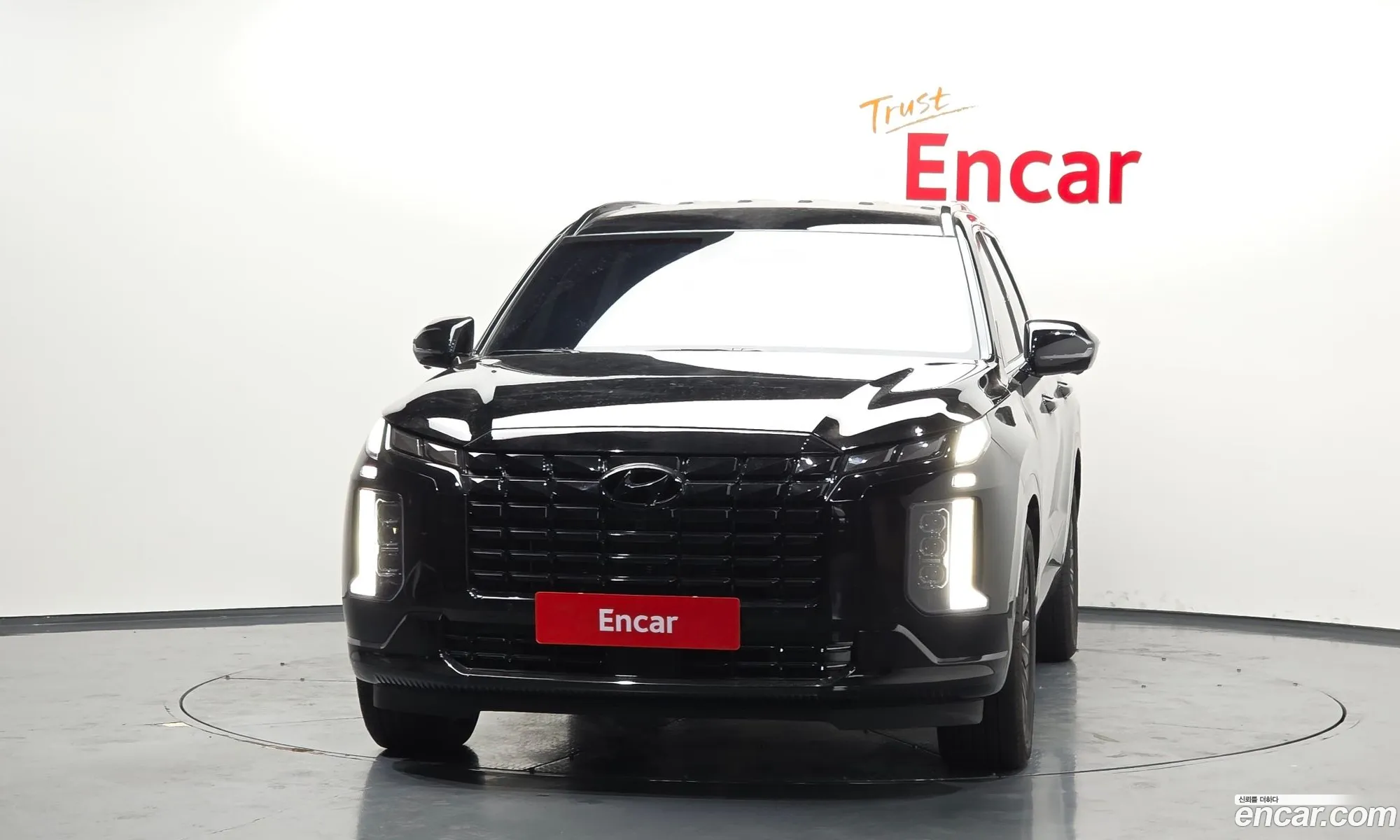 Hyundai Palisade 2024 — 20