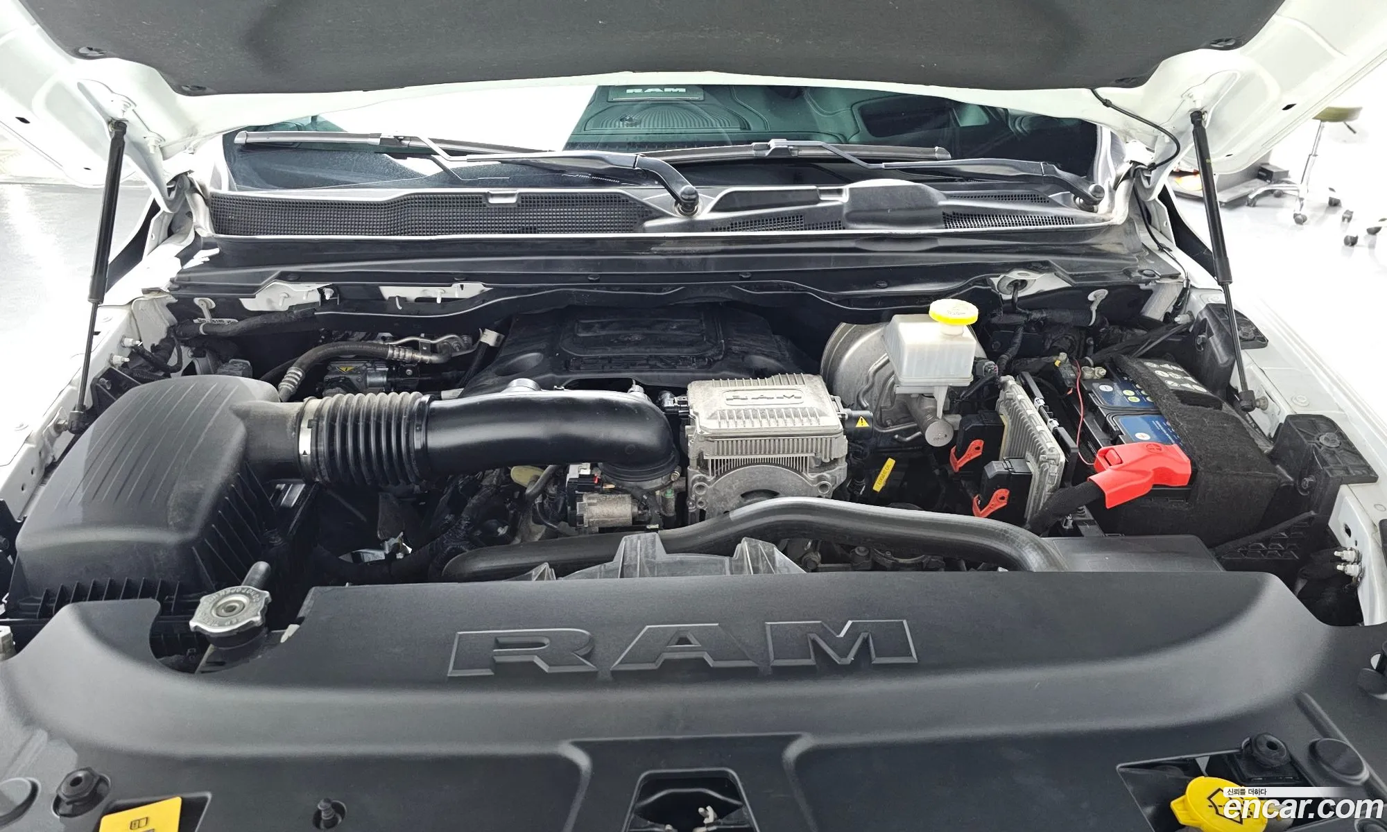 Dodge Ram Pickup 2021 1C6SRFHT8MN637525 — 4