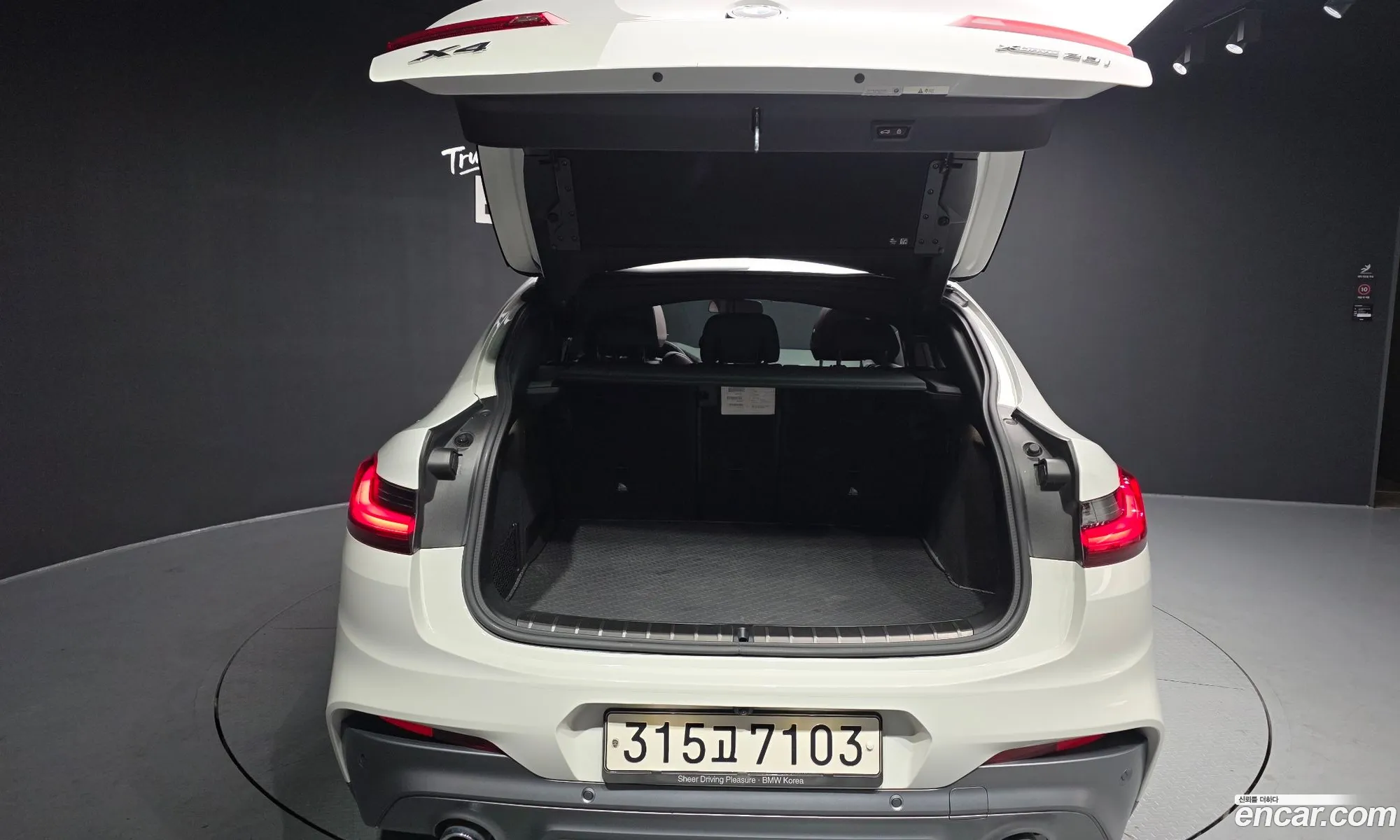 BMW X4 2020 WBA2V9104L9D07300 — 15