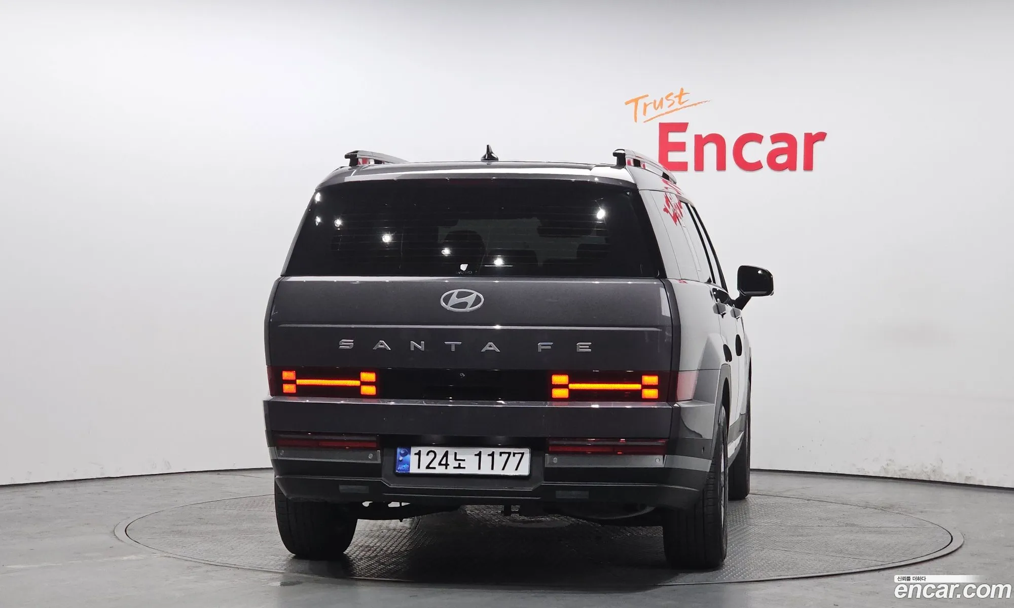 Hyundai Santa Fe 2024 — 19