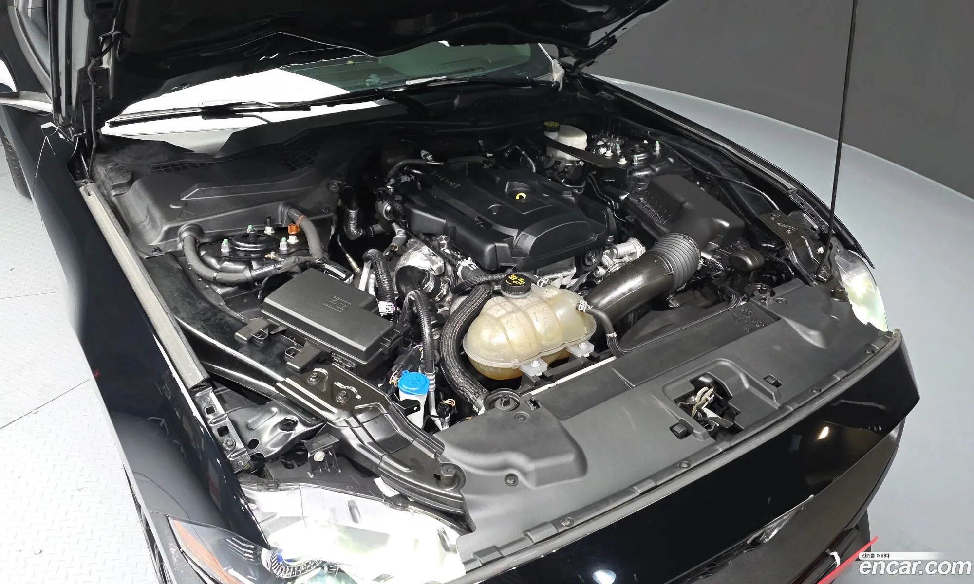 Ford Mustang 2022 1FA6P8TH1N5102977 — 20