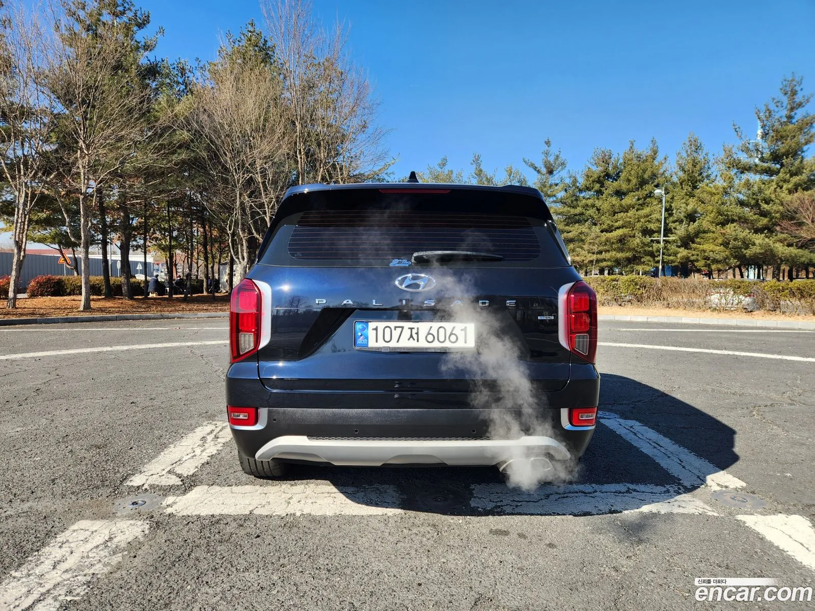 Hyundai Palisade 2020 — 15