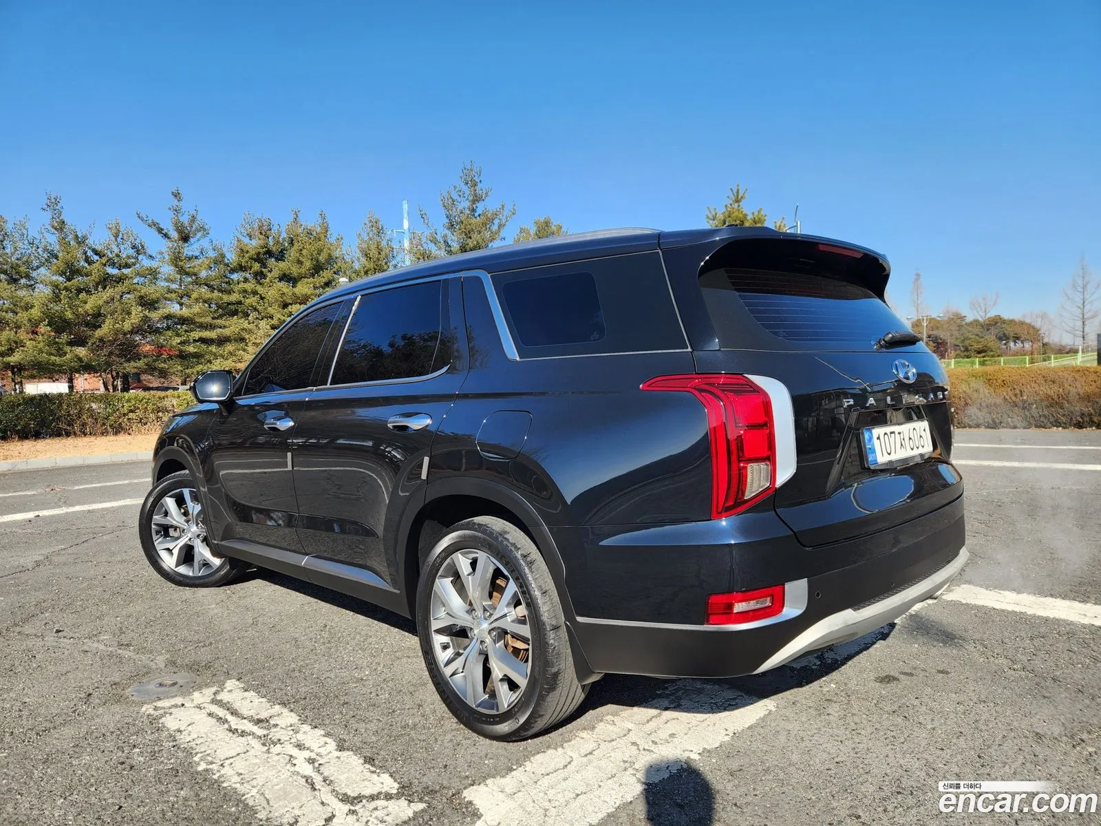 Hyundai Palisade 2020 — 10