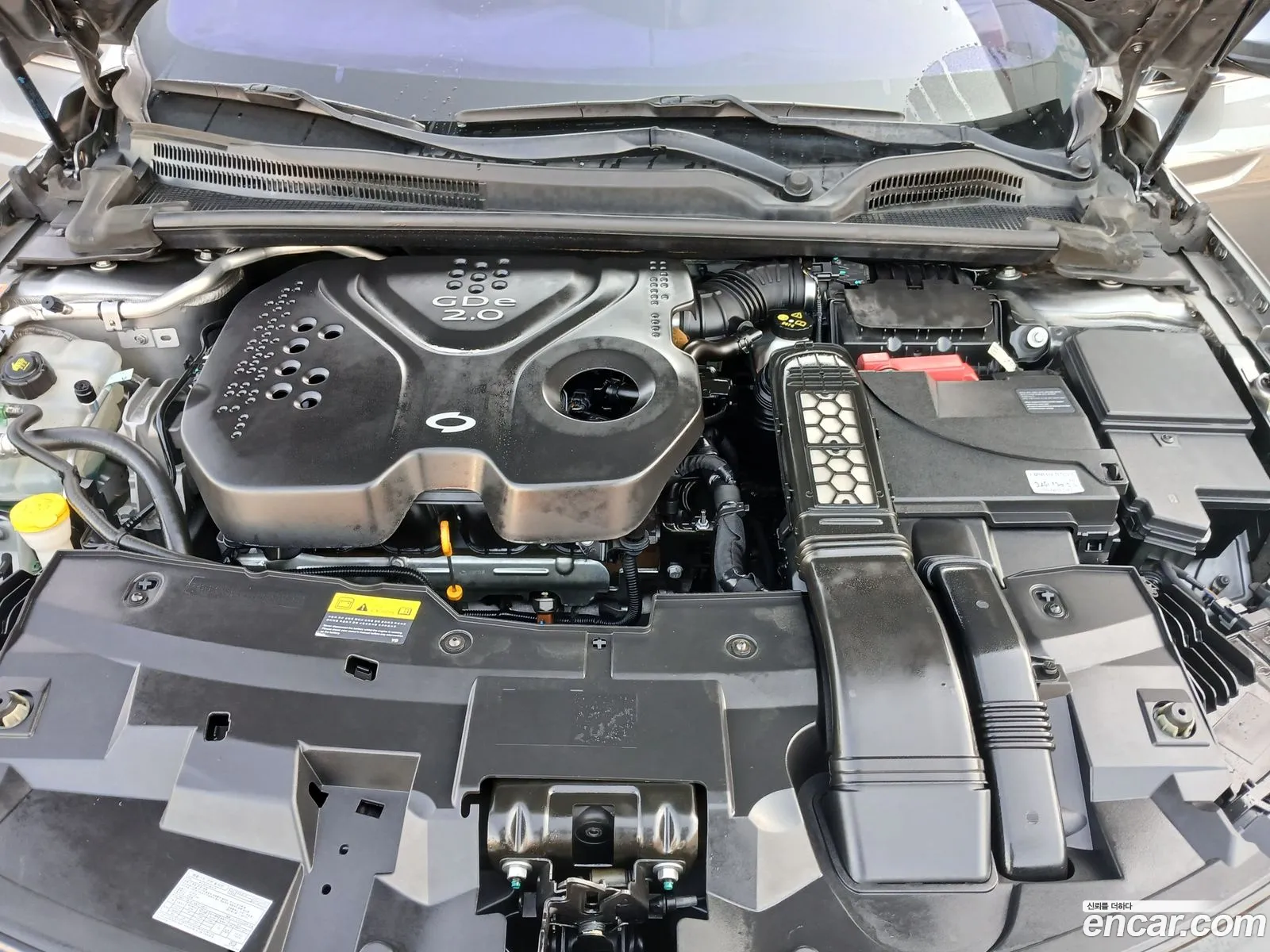 Renault Korea (Samsung) SM6 2017 — 13