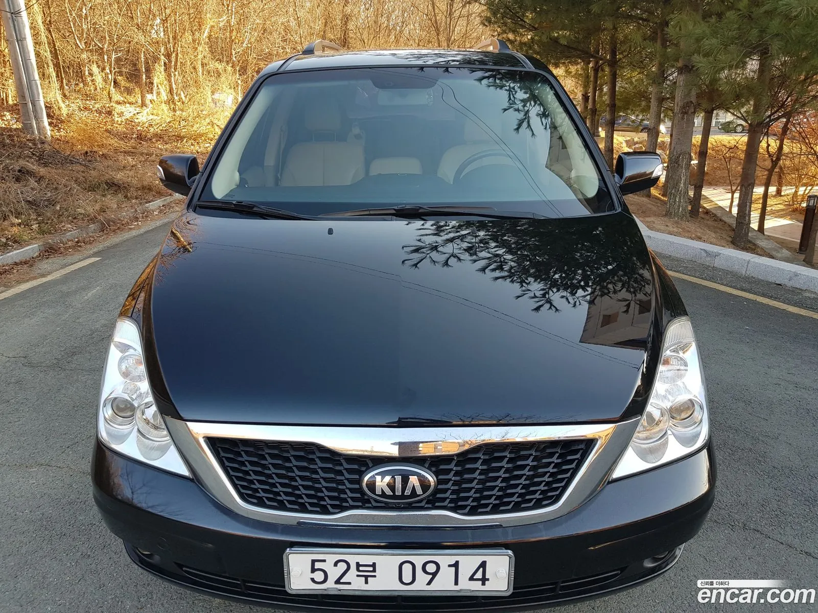 Kia Carnival R 2013 — 14
