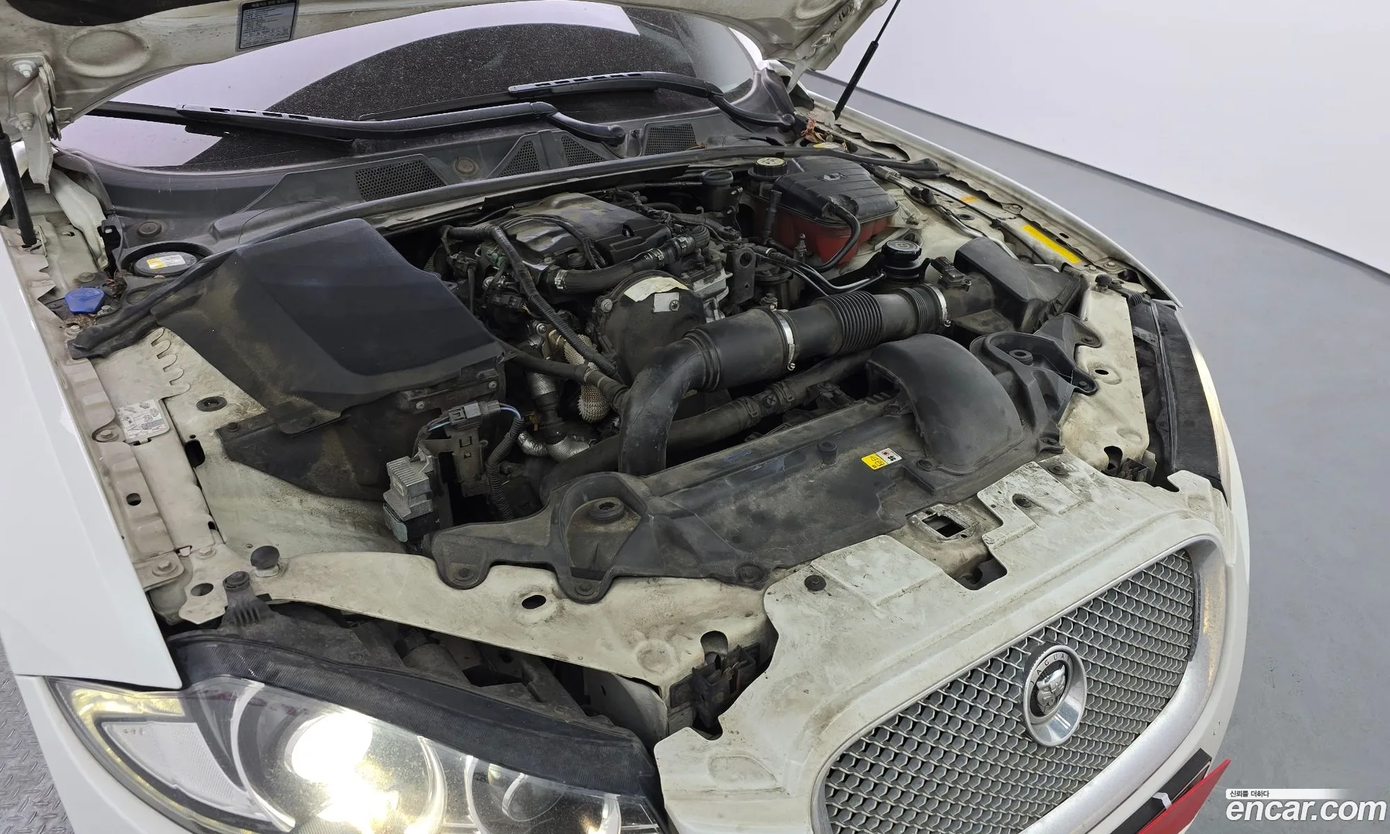 Jaguar XF 2013 SAJAA0566DDS99265 — 20