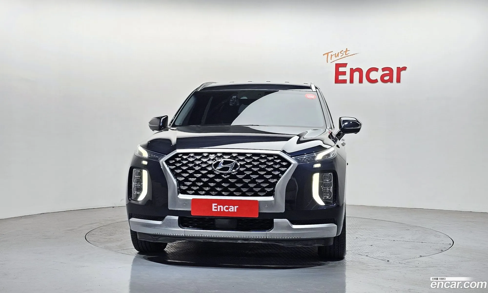 Hyundai Palisade 2021 — 9