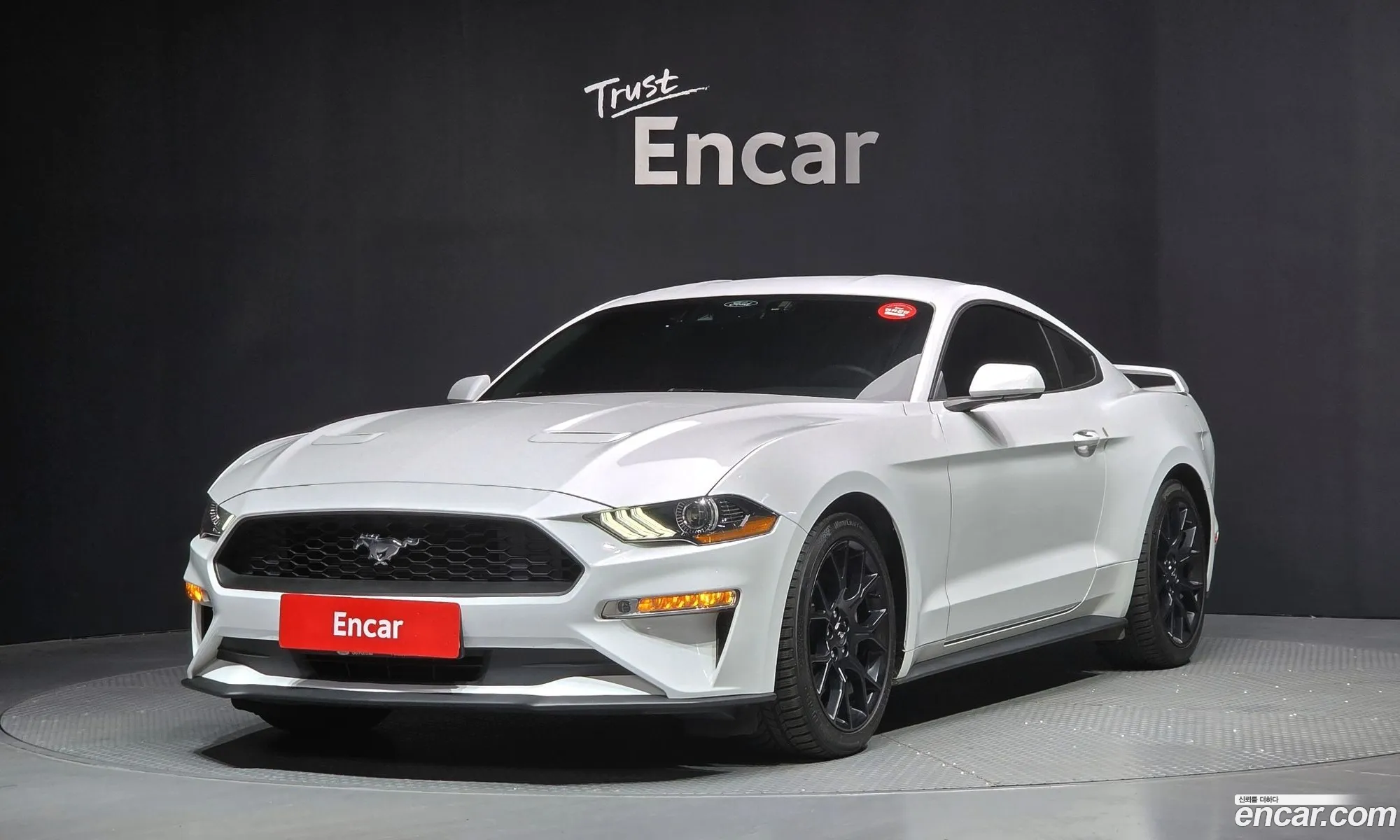 Ford Mustang 2023 1FA6P8TH3P5109030 — 20