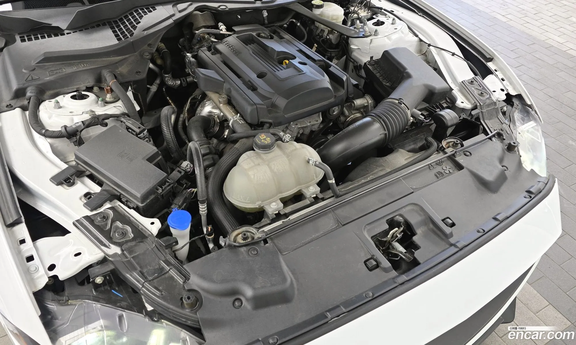 Ford Mustang 2023 1FA6P8TH3P5109030 — 2