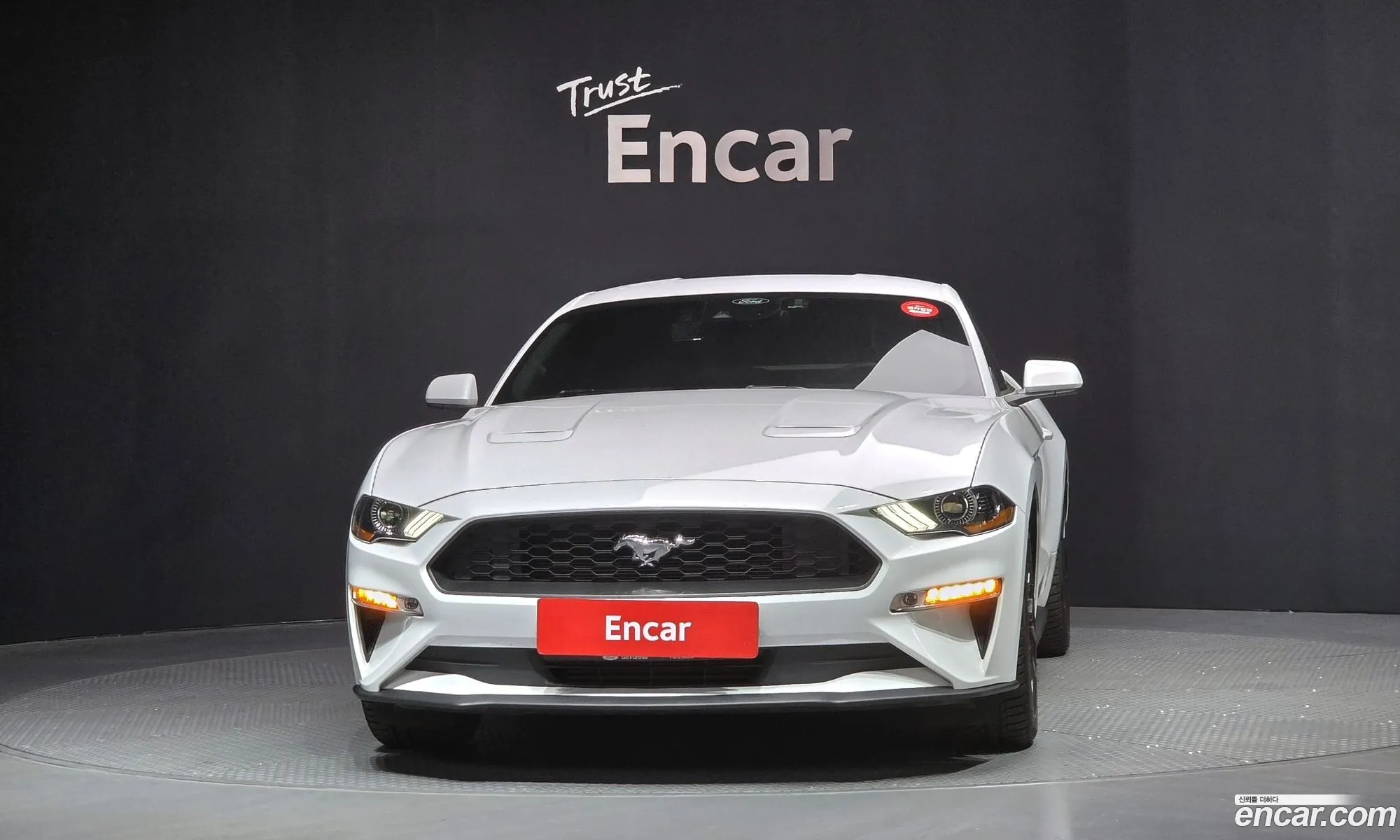 Ford Mustang 2023 1FA6P8TH3P5109030 — 11