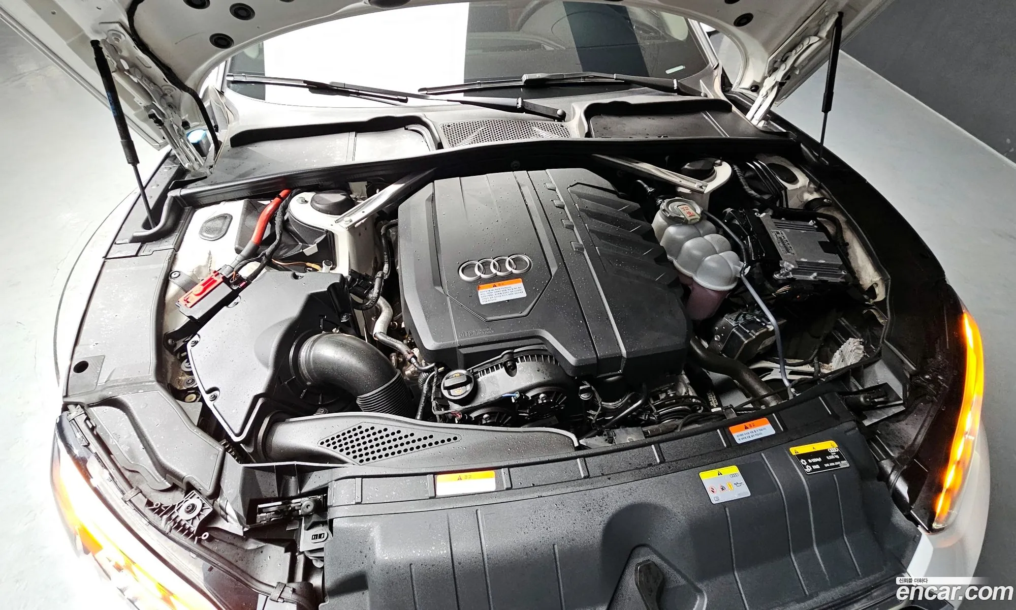 Audi A5 2021 WAUZZZF58MA013256 — 8