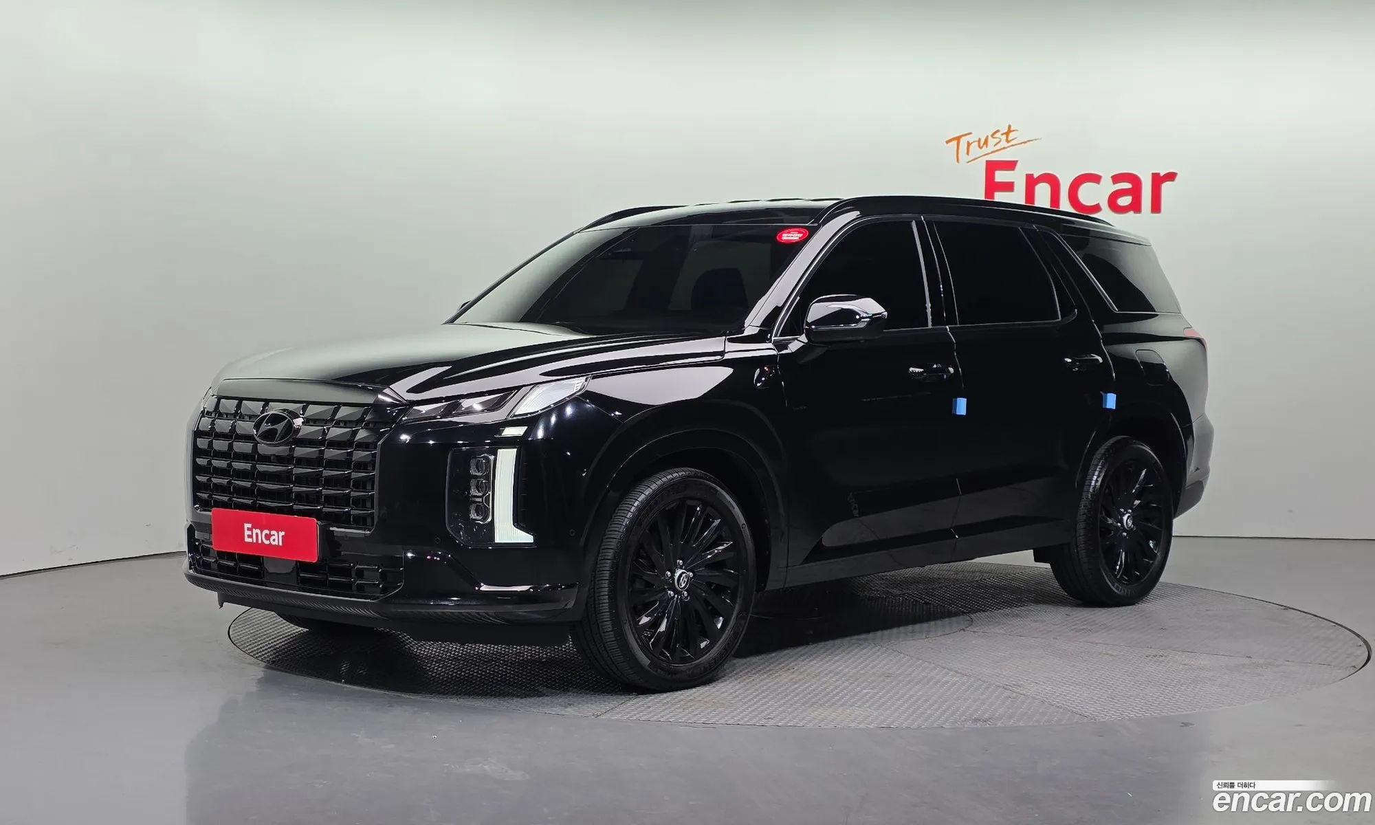 Hyundai Palisade 2024 — 8