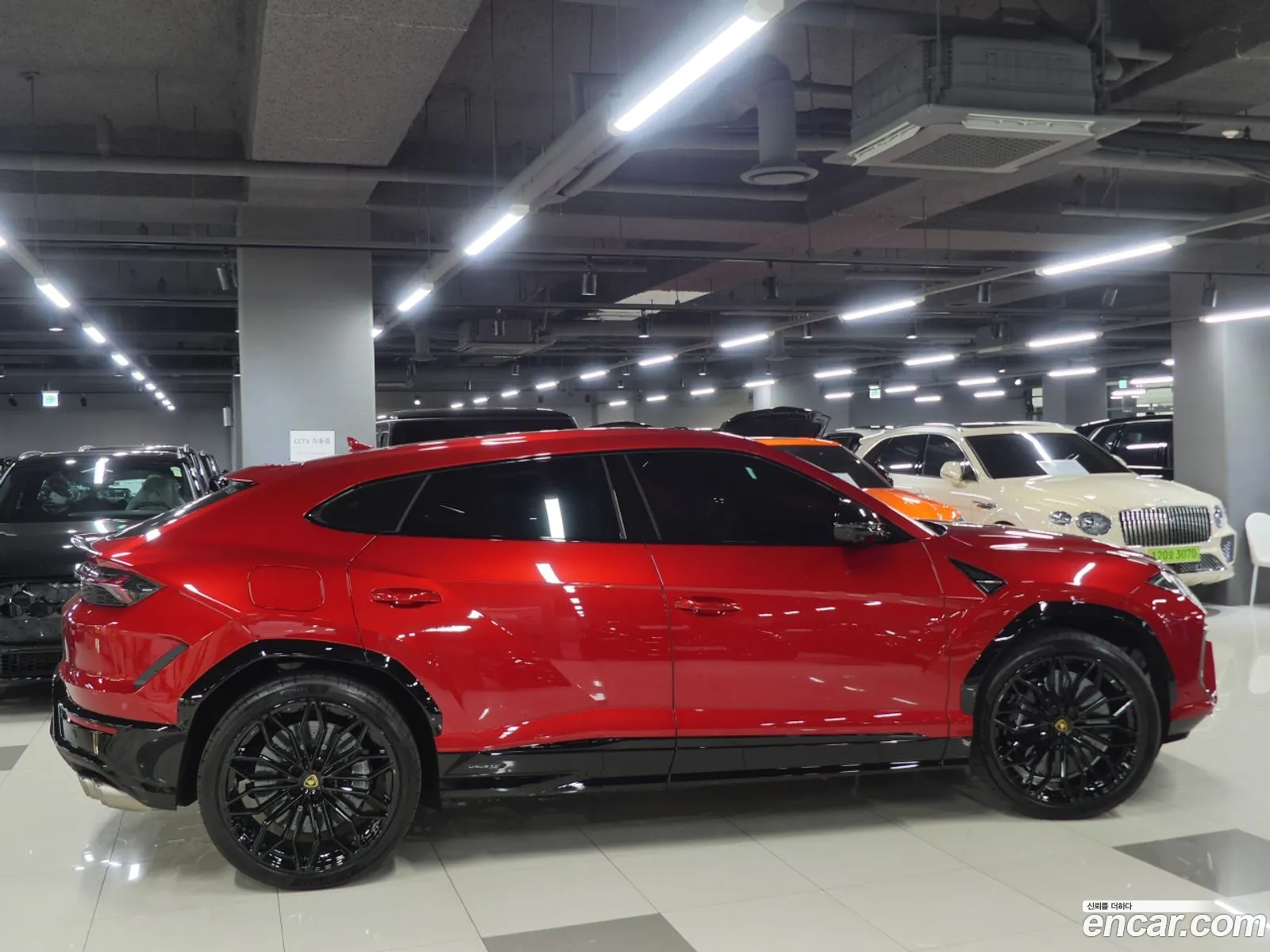 Lamborghini Urus 2025 — 14