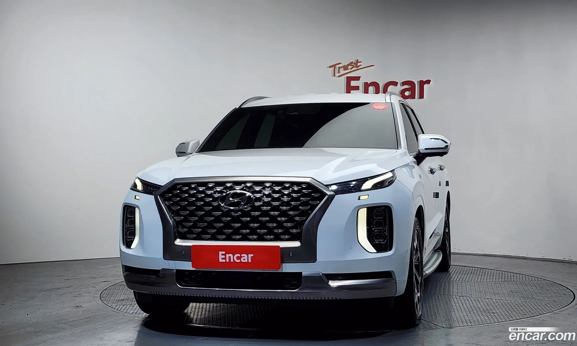 Hyundai Palisade 2022 — 12