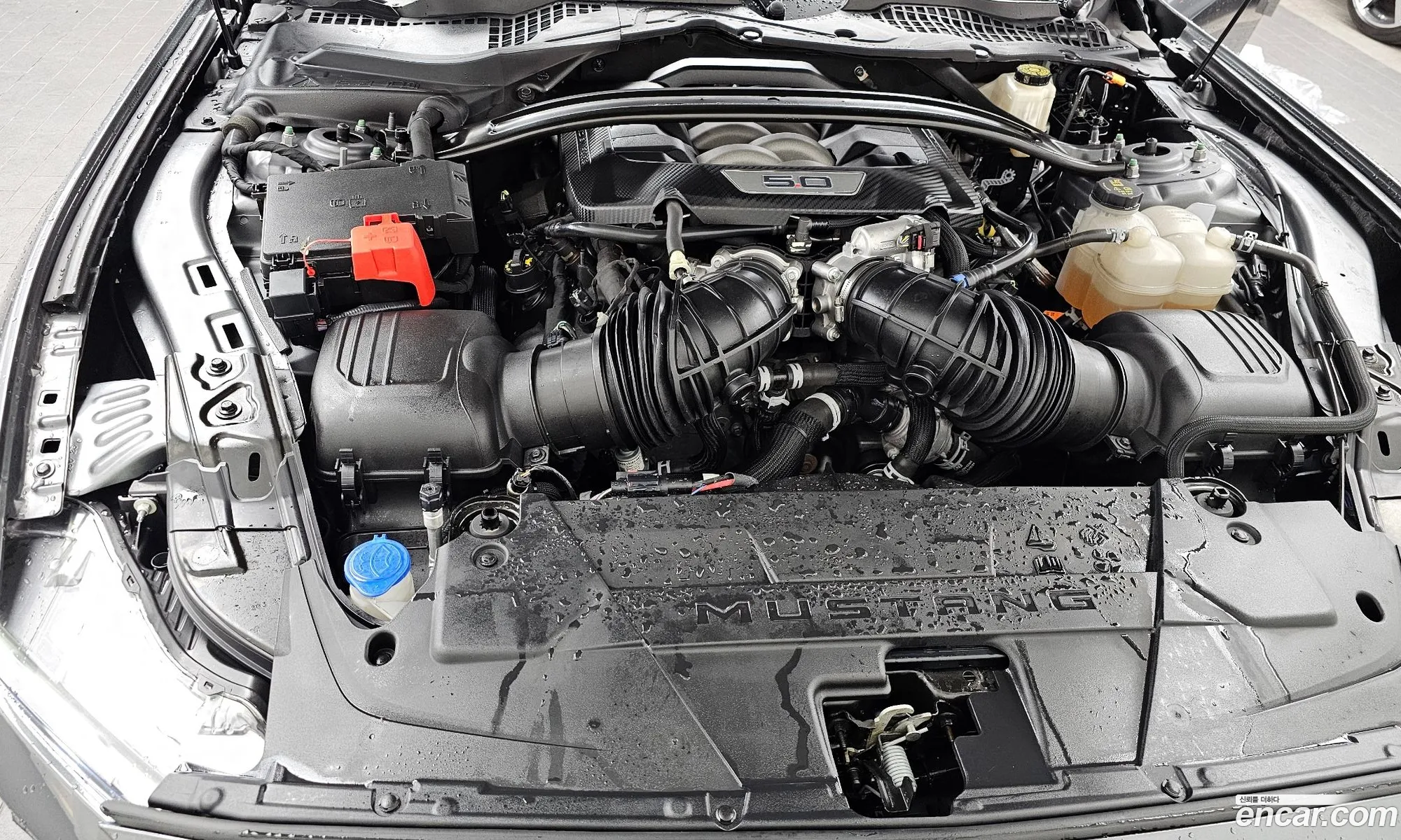 Ford Mustang 7th Gen 2024 — 2