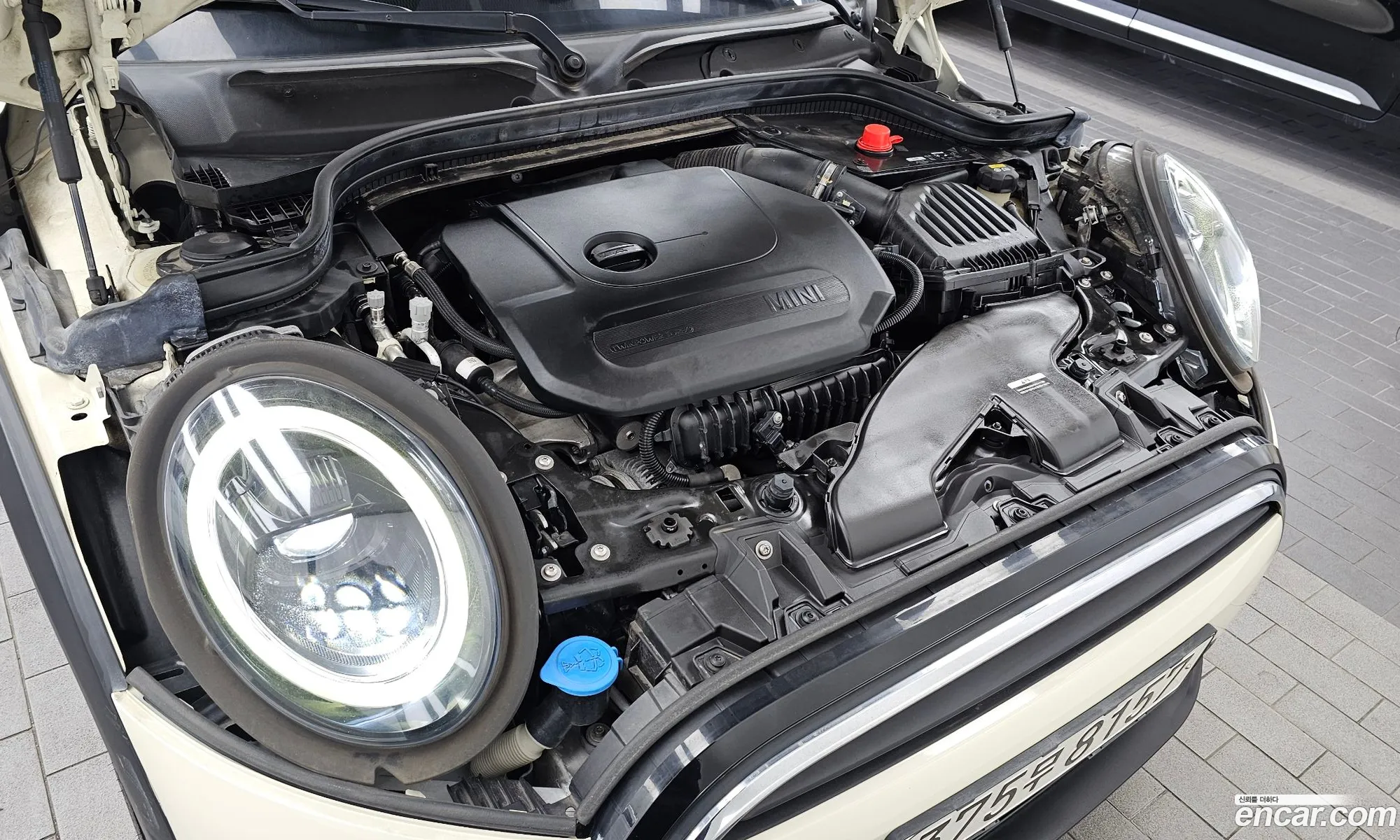 Mini Cooper Convertible 2022 WMW31DL05N3N97002 — 10