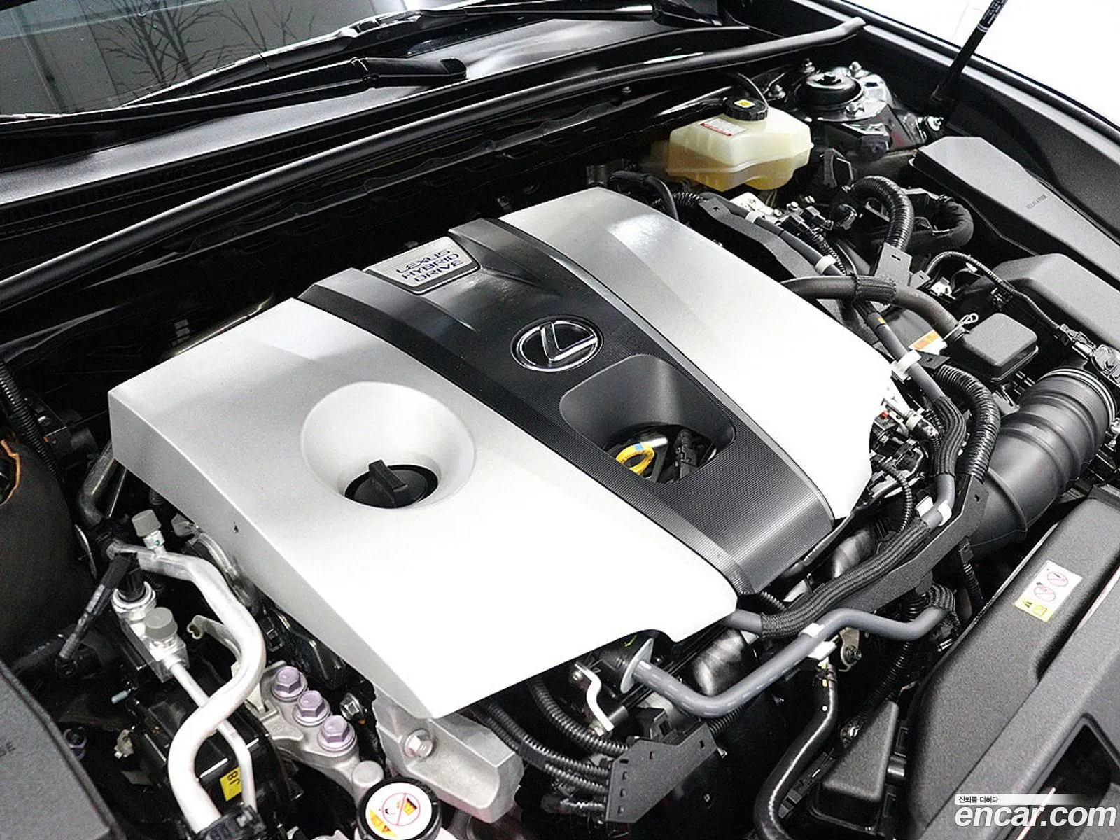 Lexus ES300h 7th Gen 2021 — 7