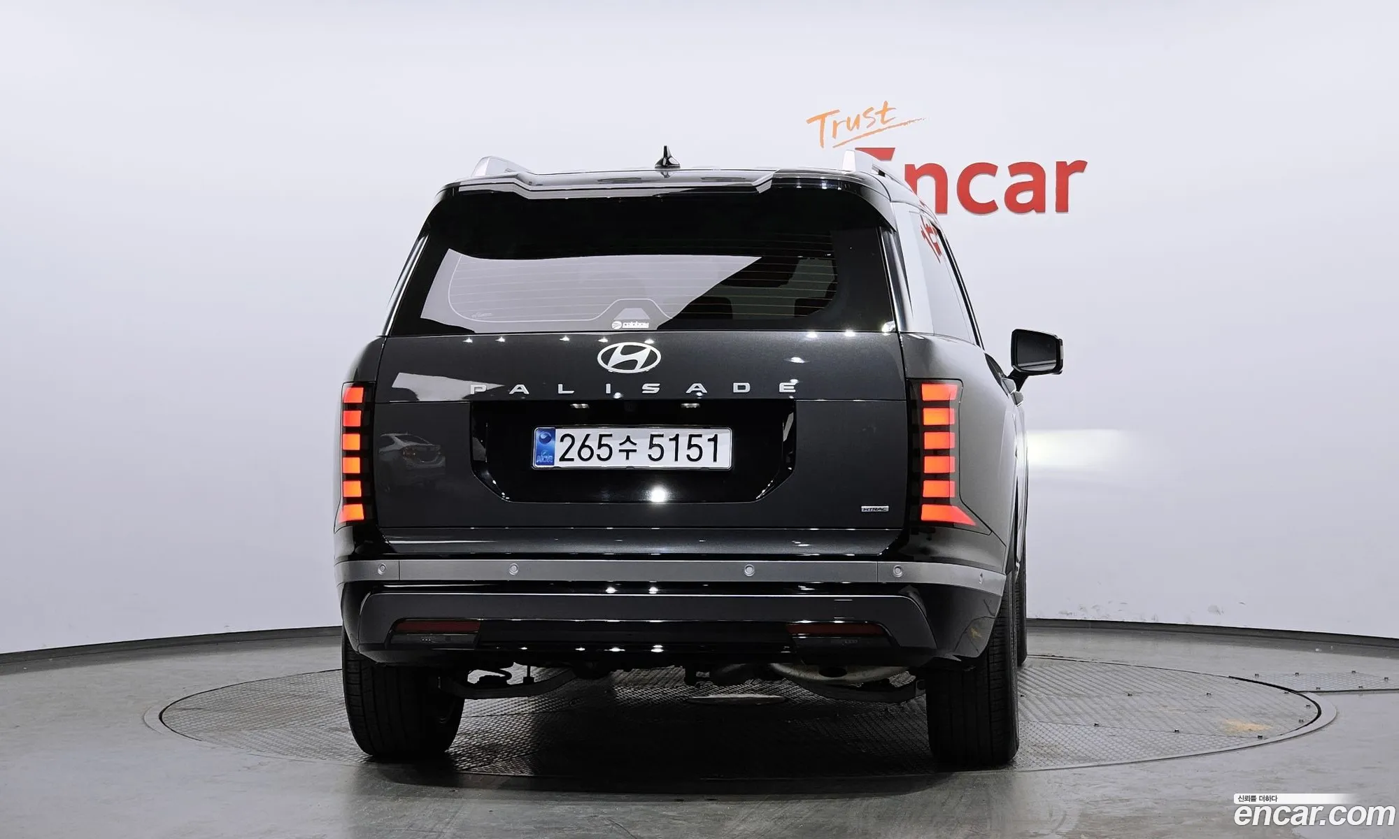 Hyundai Palisade 2025 — 12
