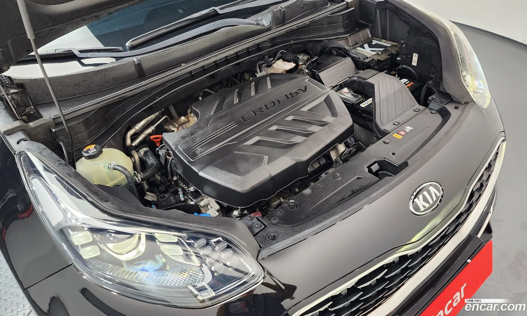 Kia Sportage the Bold 2019 — 18