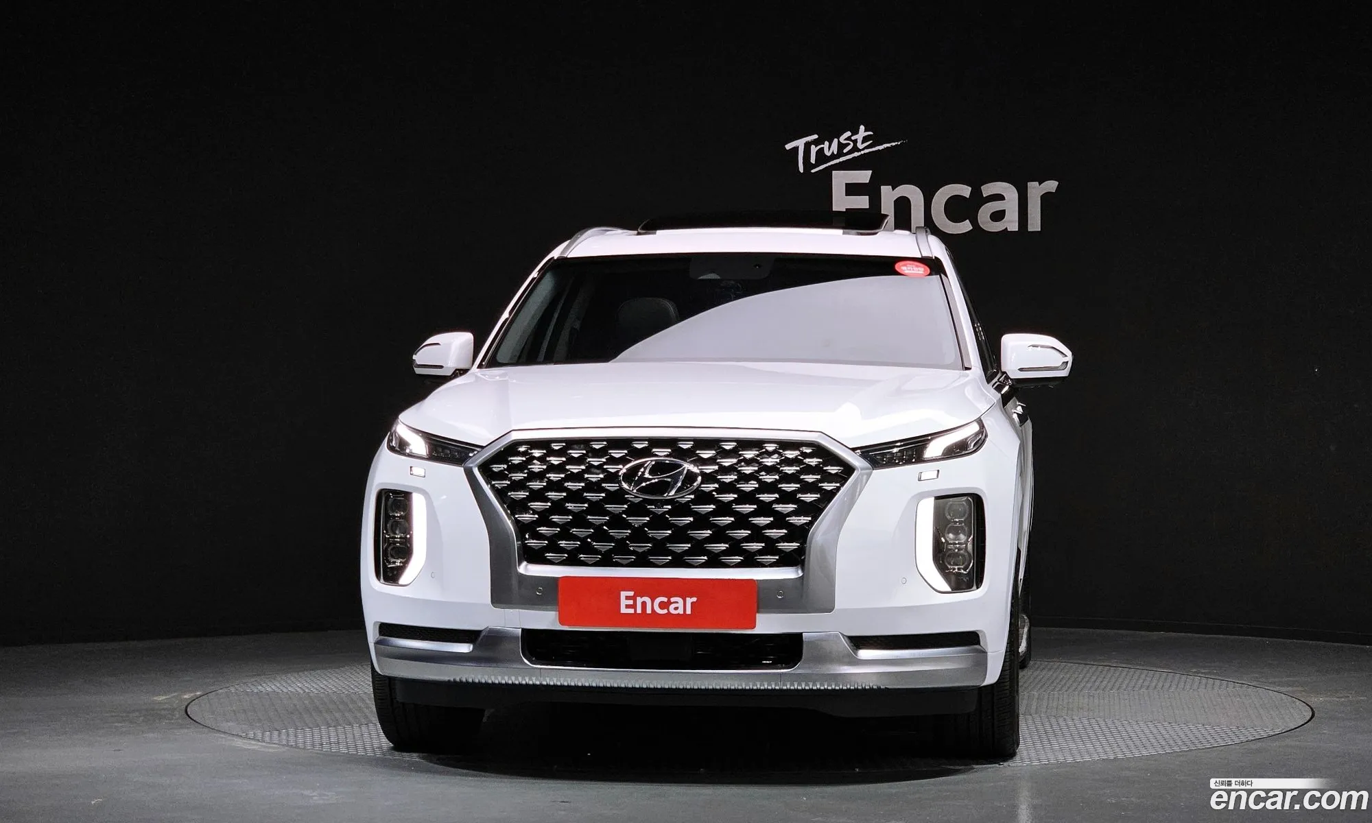 Hyundai Palisade 2021 — 10