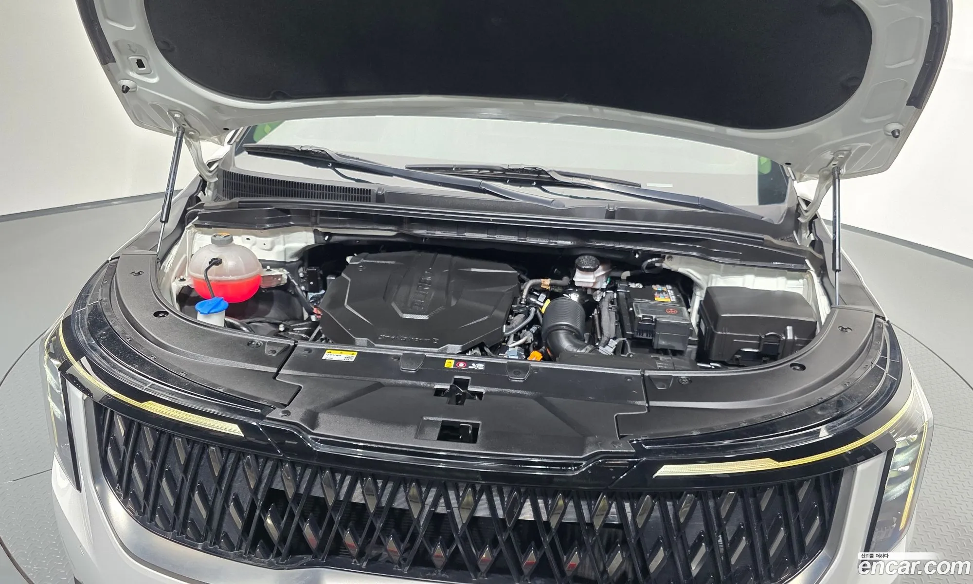 Kia Carnival 2024 — 17