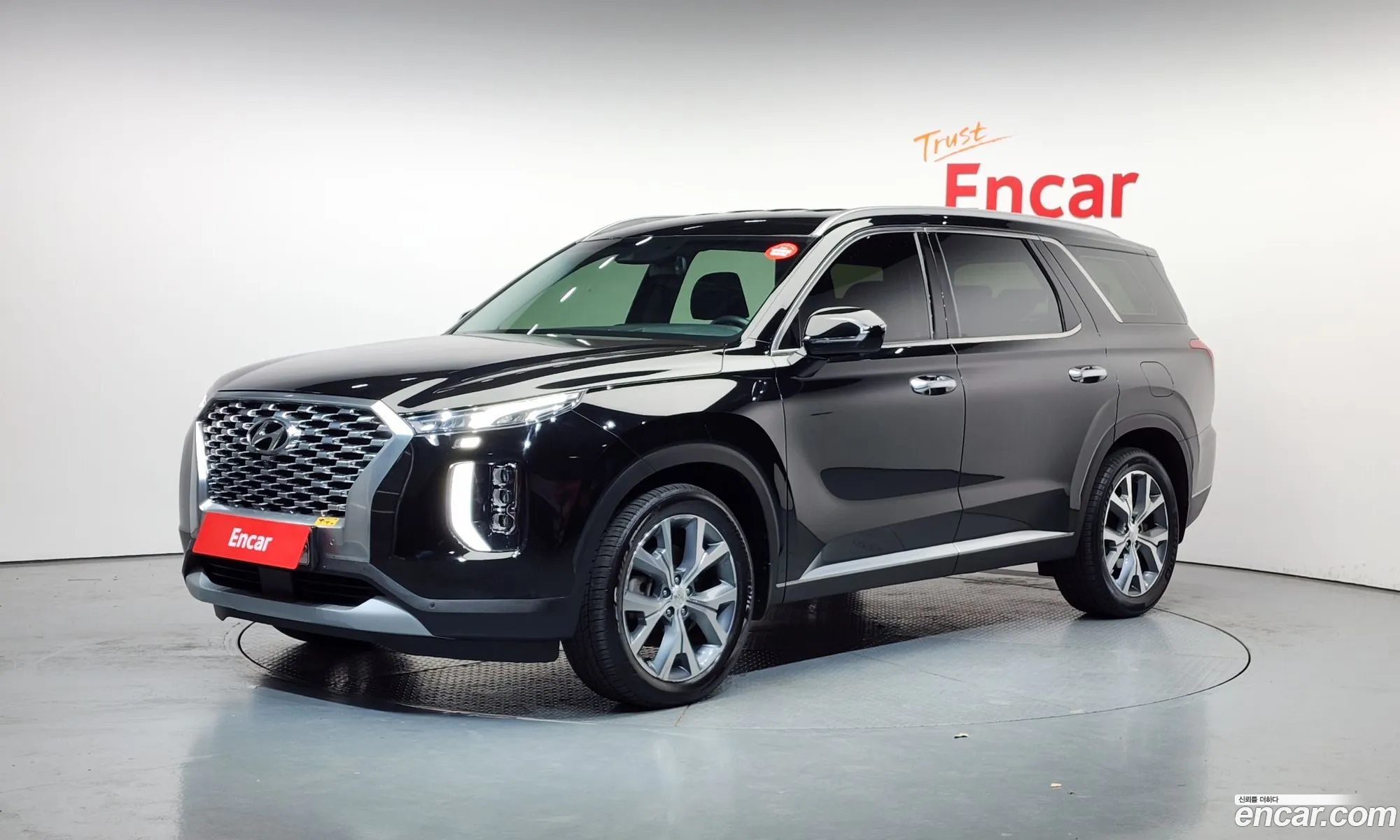 Hyundai Palisade 2019 — 6