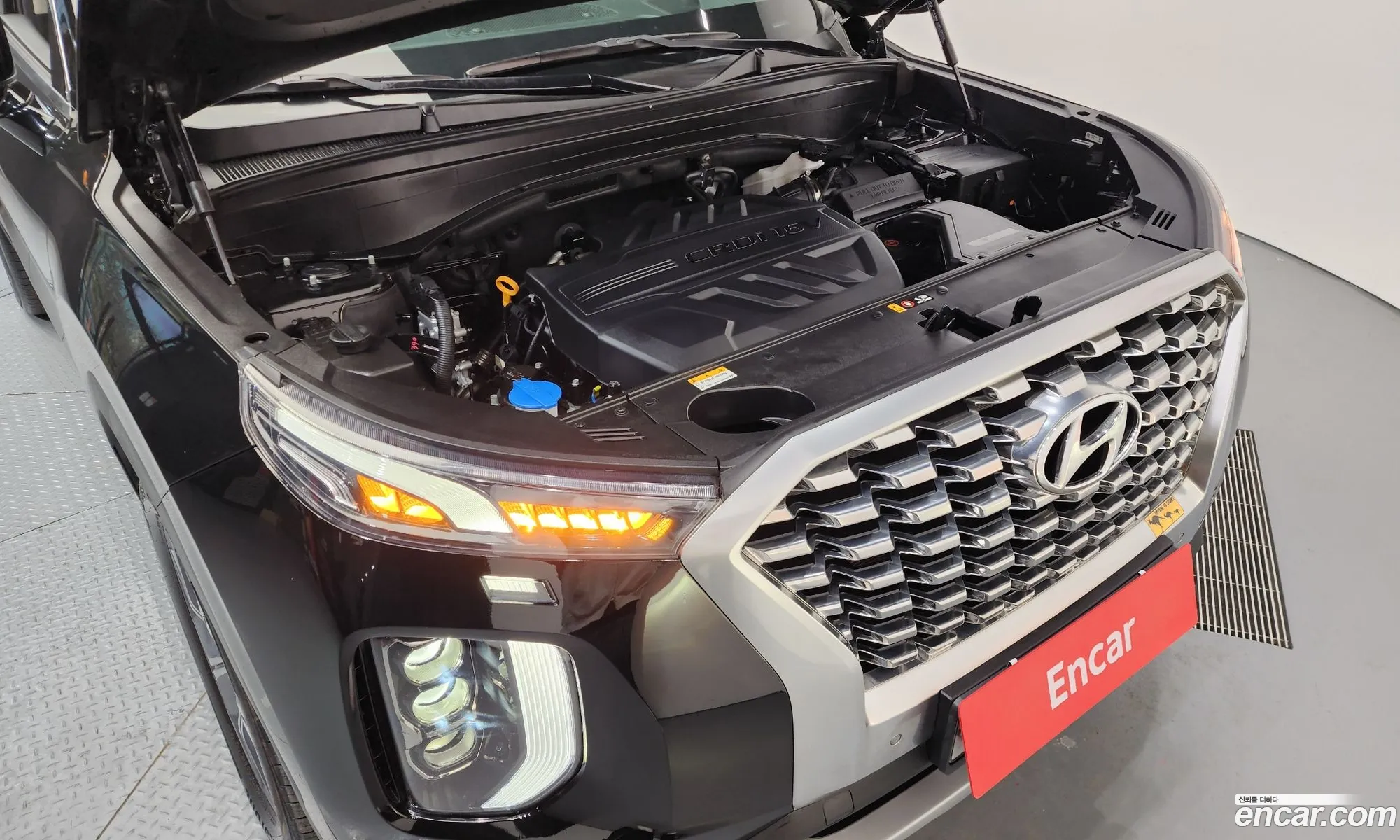 Hyundai Palisade 2019 — 14