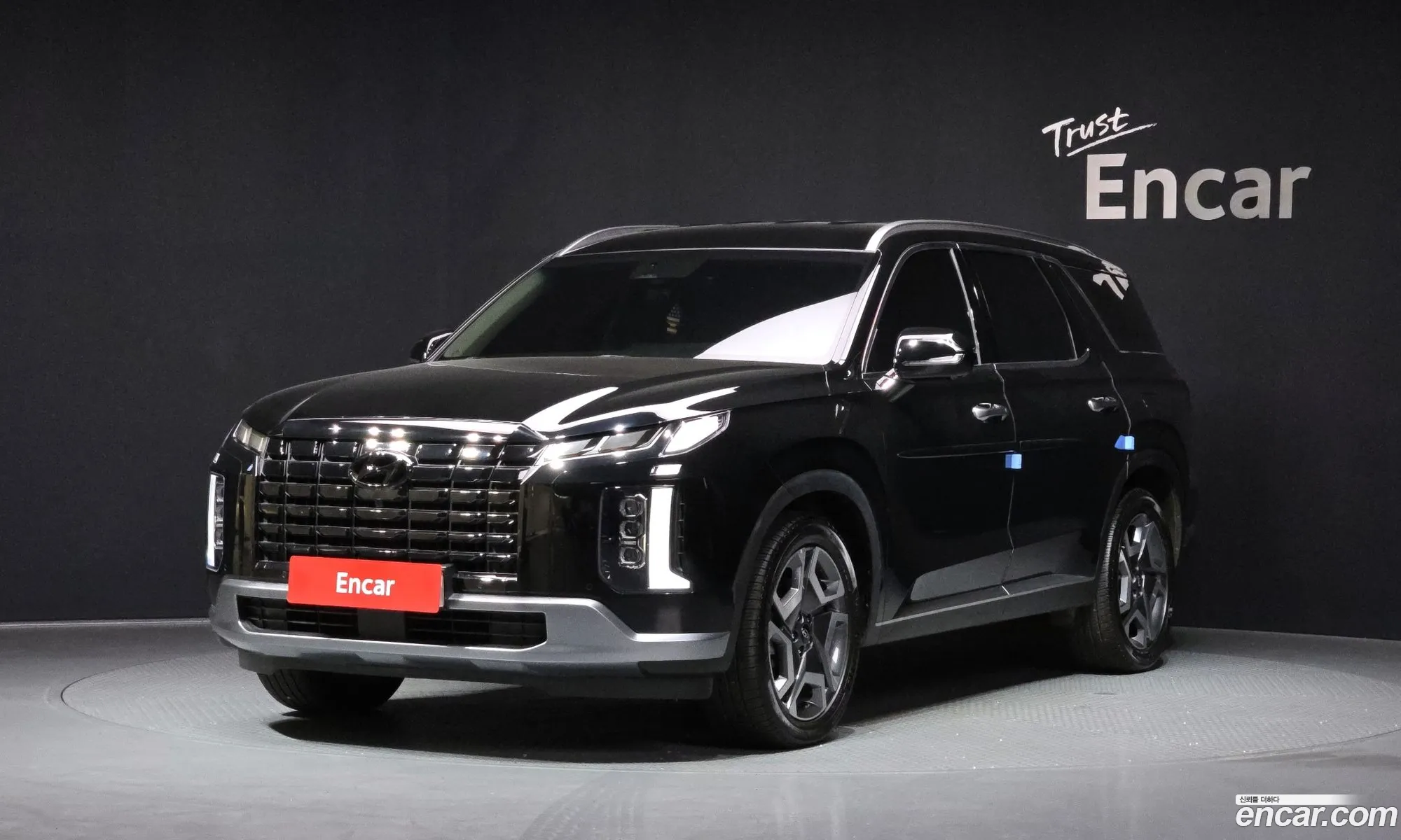 Hyundai Palisade 2023 — 17