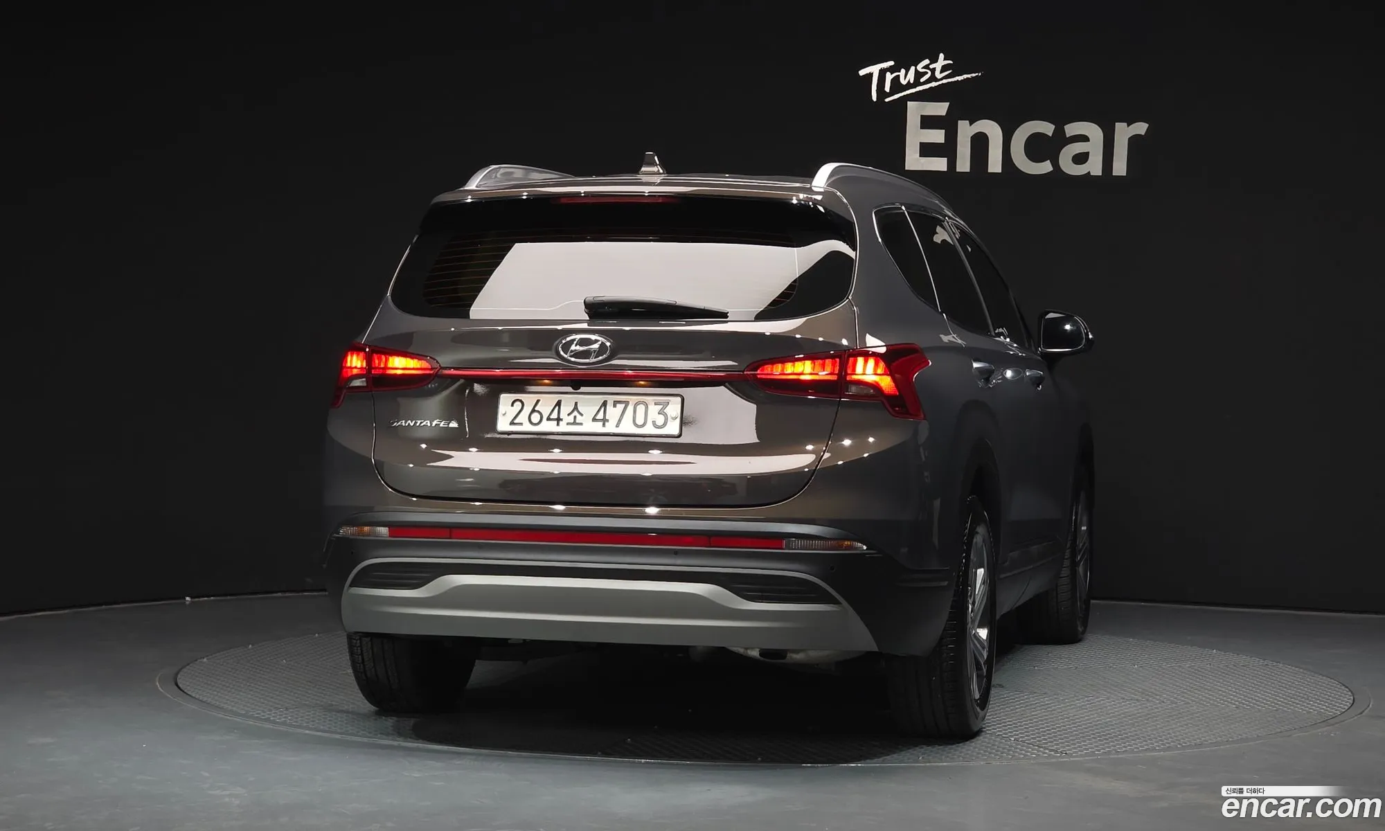 Hyundai Santa Fe 2021 — 17