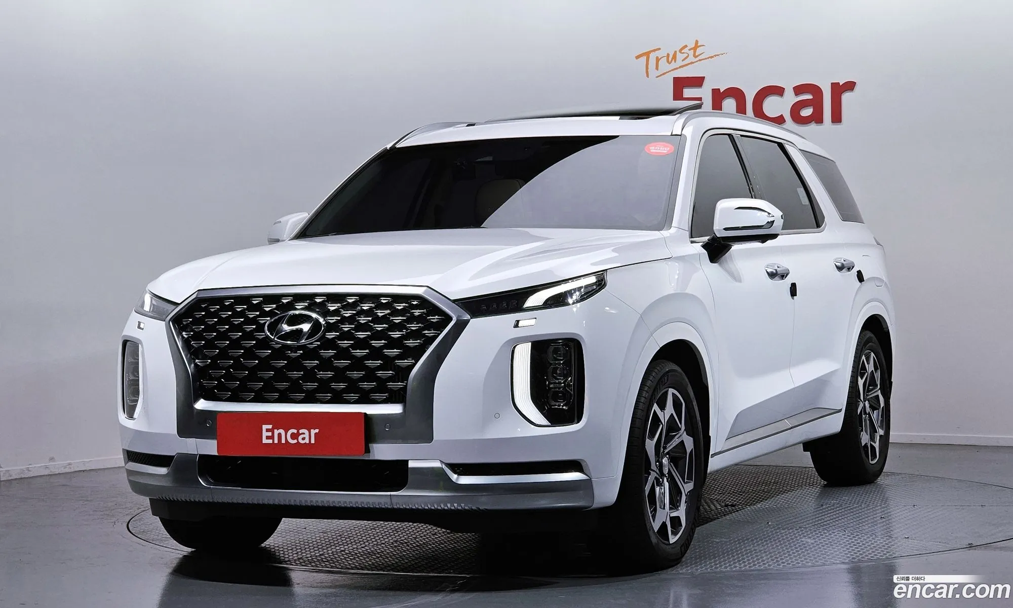 Hyundai Palisade 2021 — 10