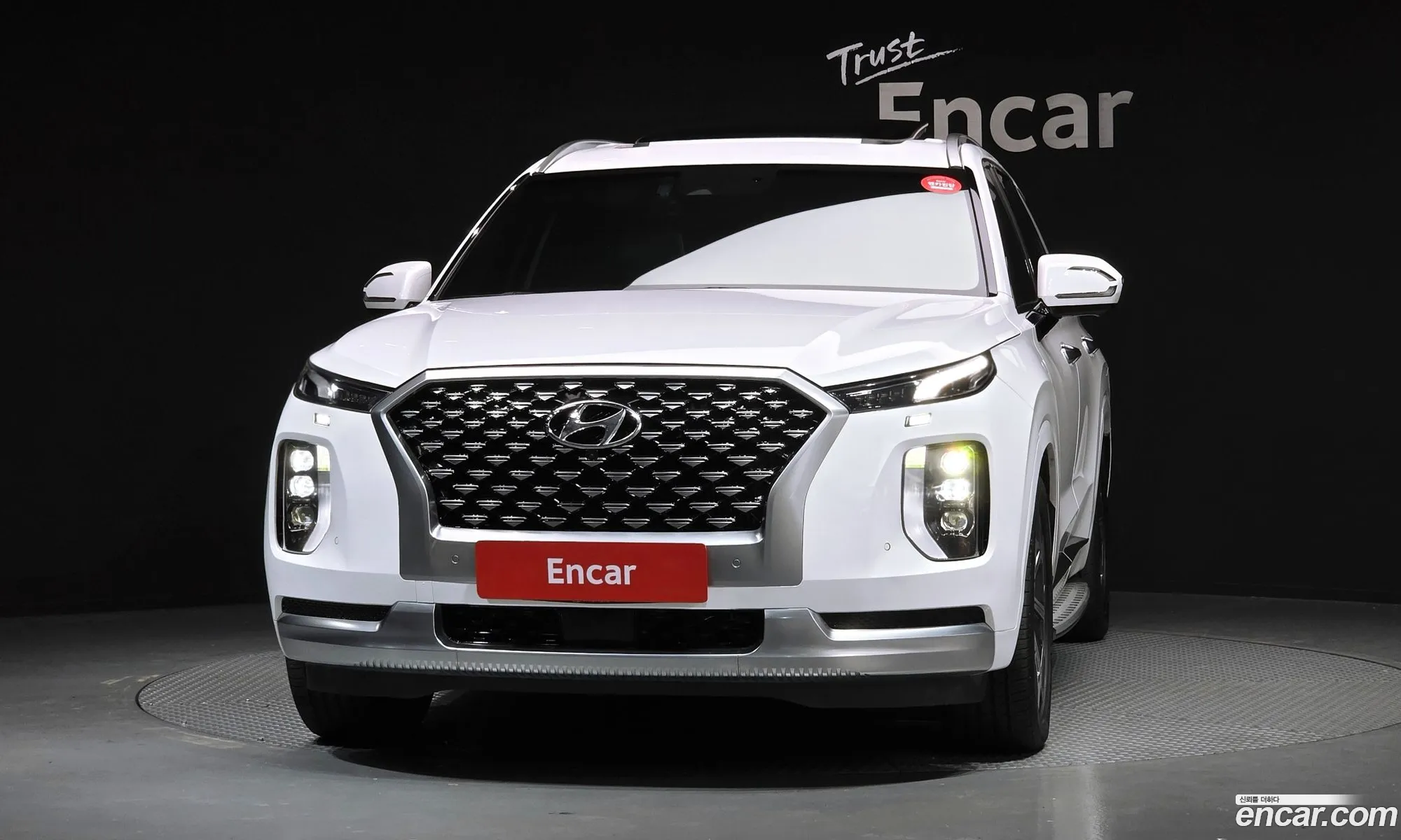 Hyundai Palisade 2021 — 14