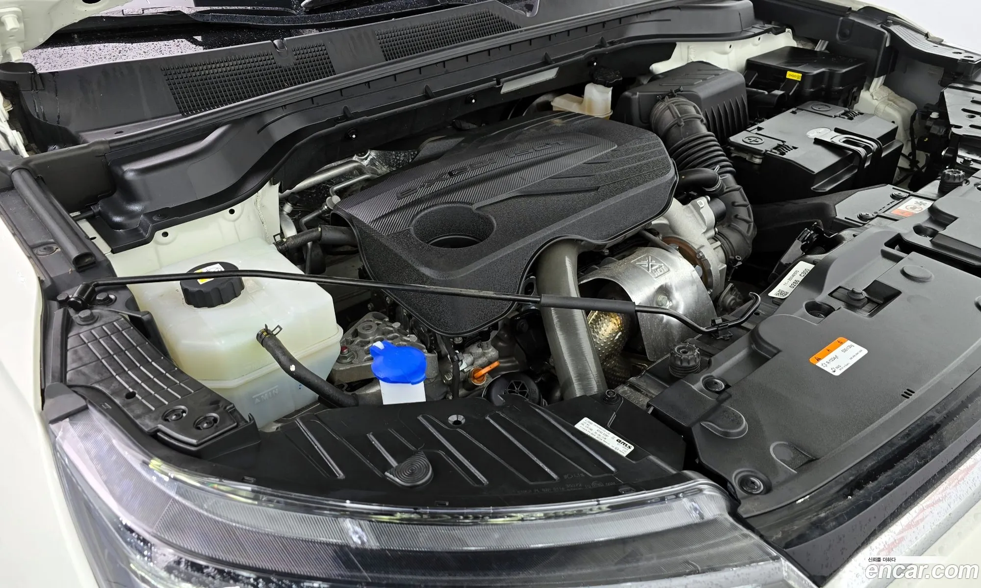 KG Mobility (SsangYong) Beautiful Korando 2024 — 18