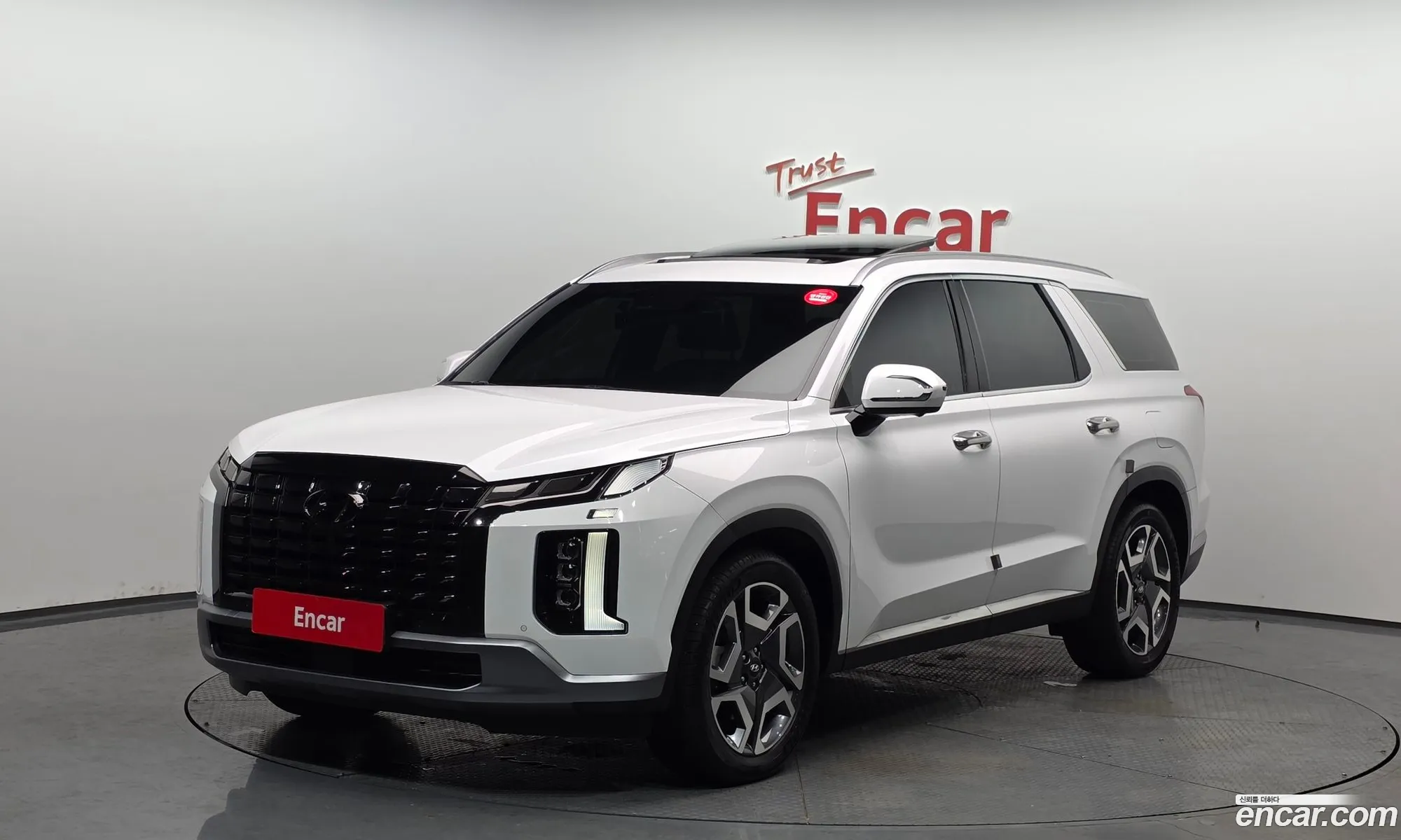 Hyundai Palisade 2022 — 14