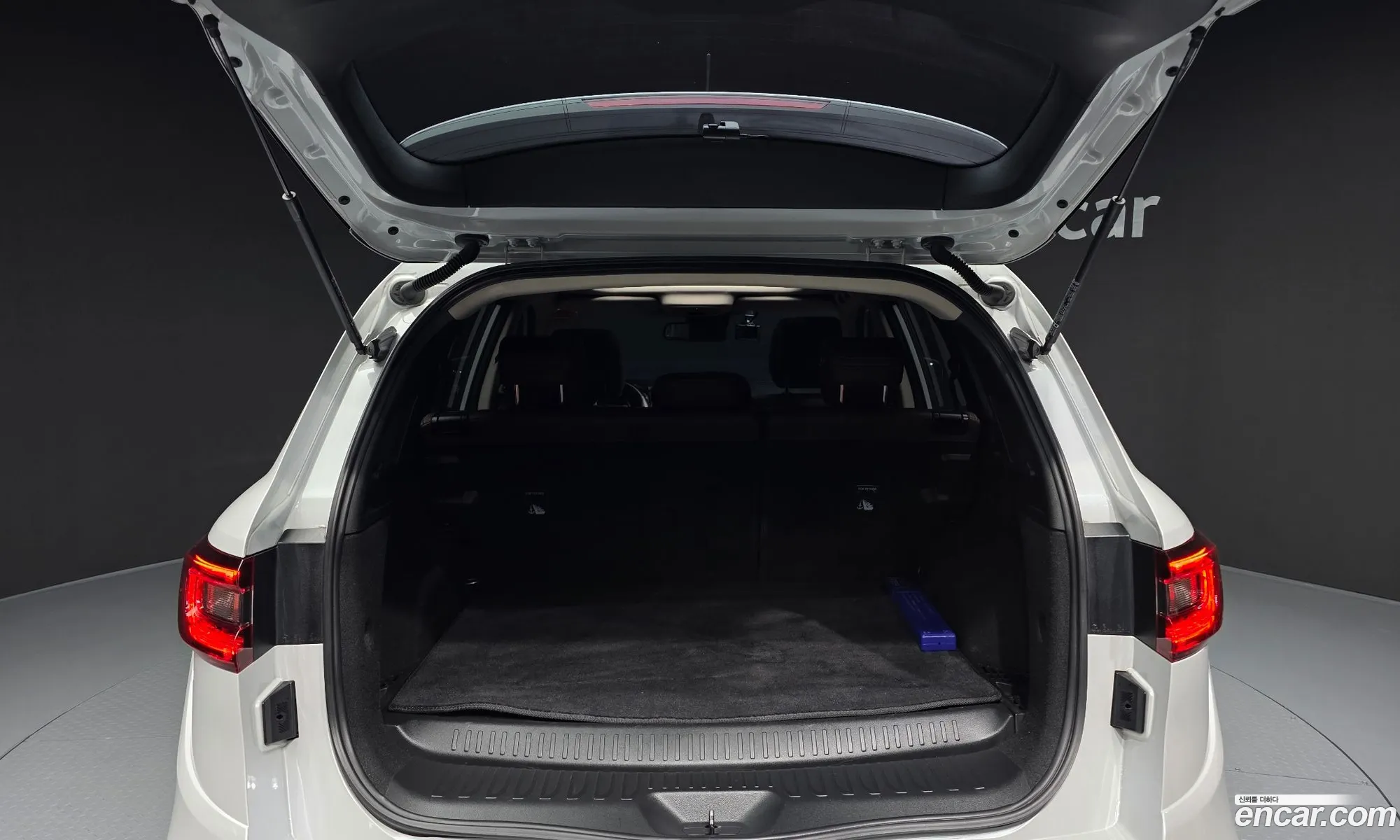 Renault Korea (Samsung) QM6 2019 — 8