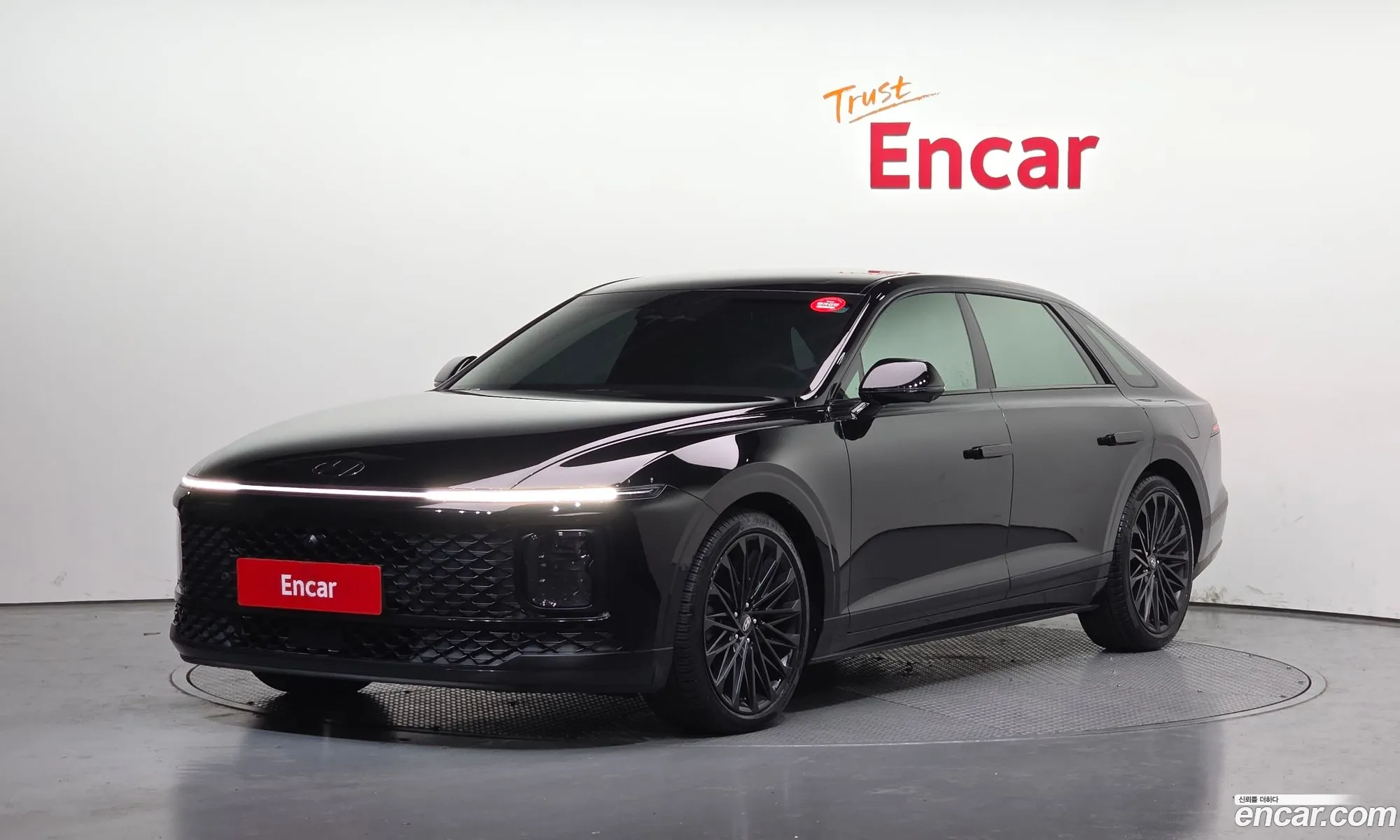 Hyundai Grandeur Hybrid 2024 — 19