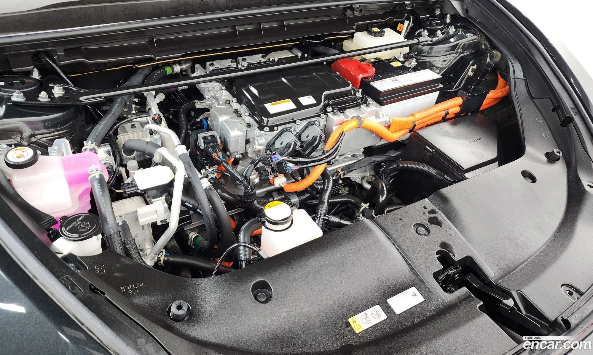 Lexus RZ450e 2023 JTJAABAB166166161 — 19