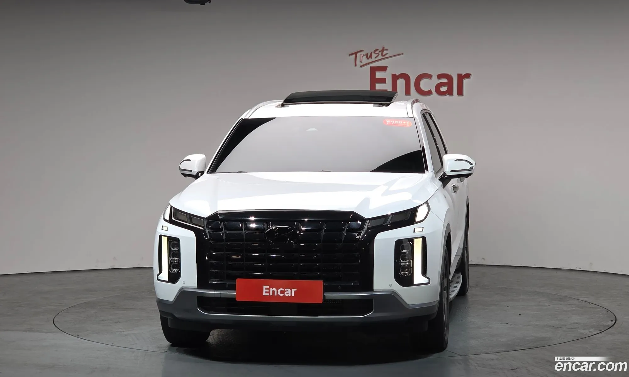 Hyundai Palisade 2022 KMHR381ABPU561801 — 20
