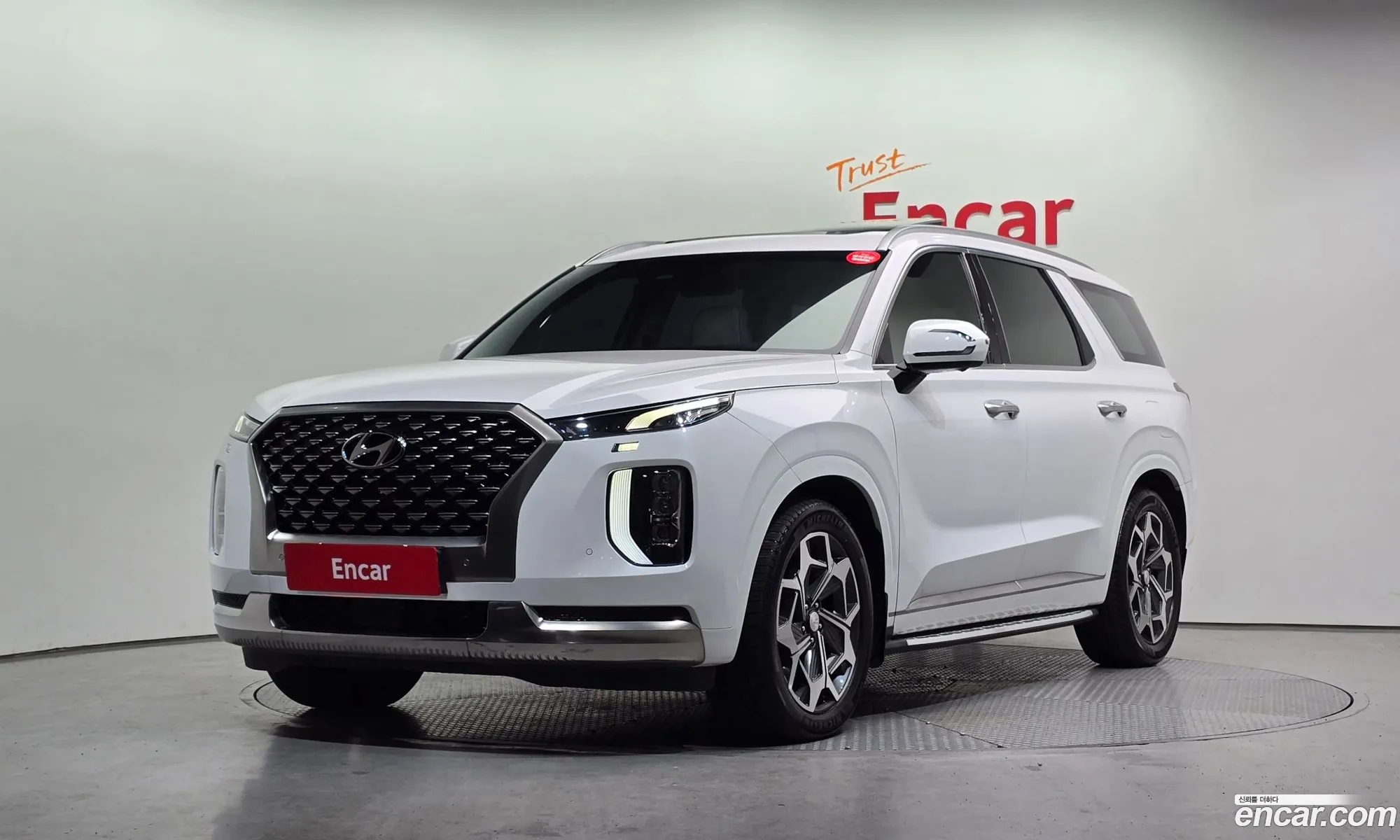 Hyundai Palisade 2022 — 8