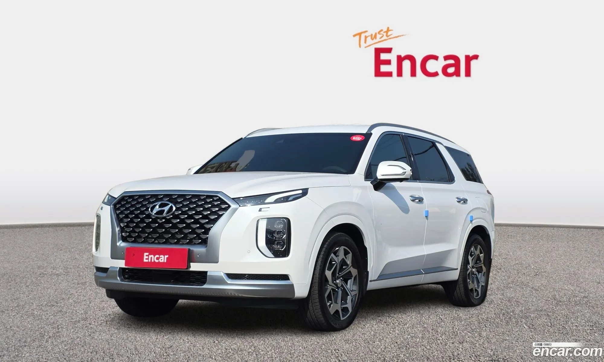 Hyundai Palisade 2021 — 13