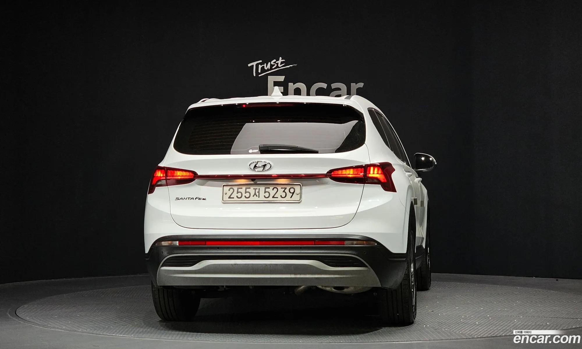 Hyundai Santa Fe 2021 — 10