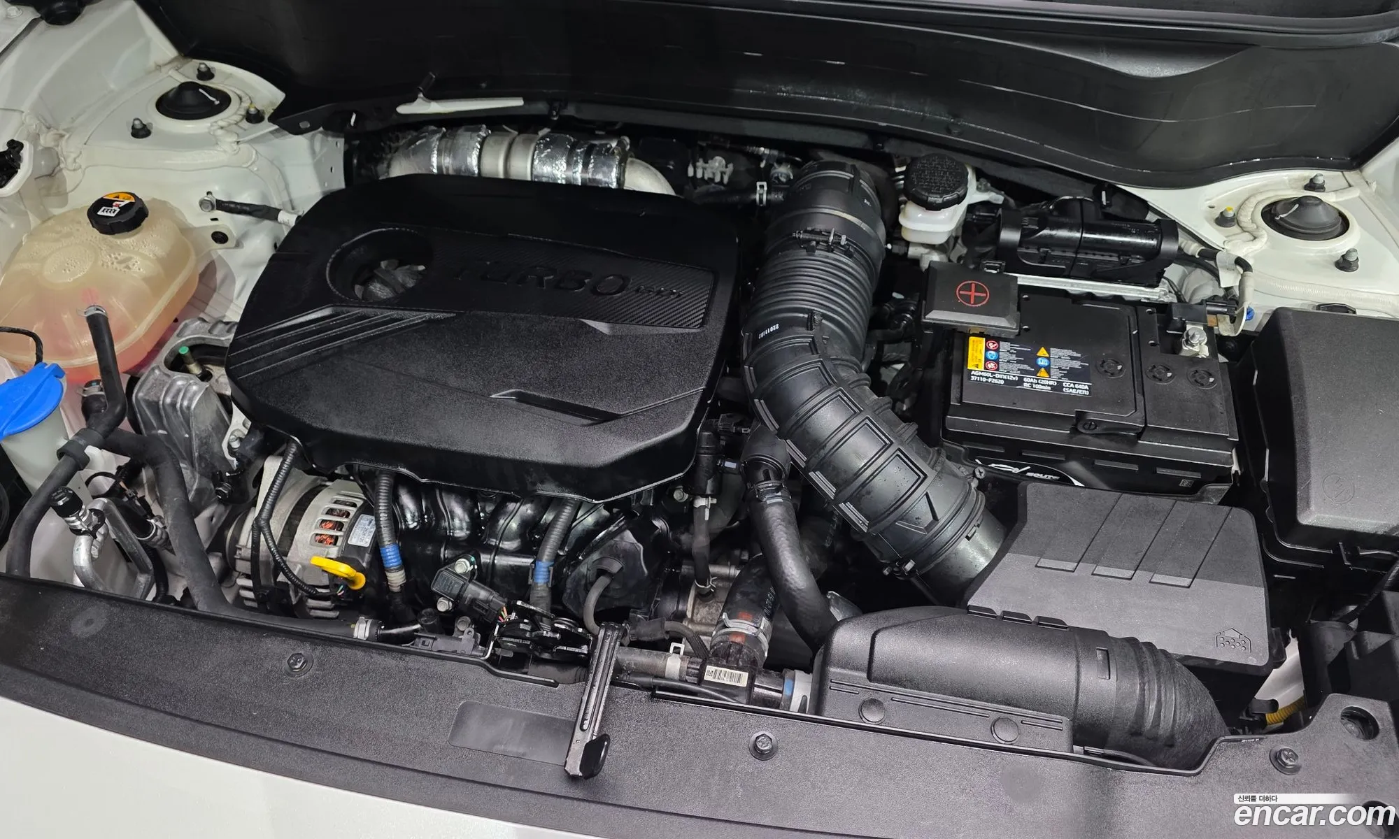 Kia Seltos 2022 KNAET812GPK314233 — 20
