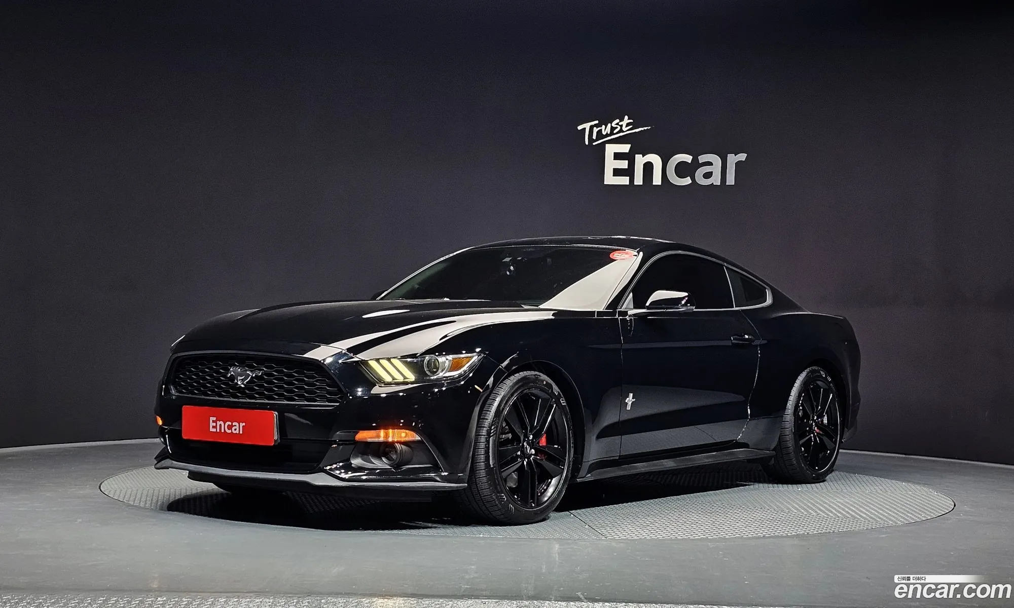 Ford Mustang 2016 1FA6P8TH1G5308707 — 11