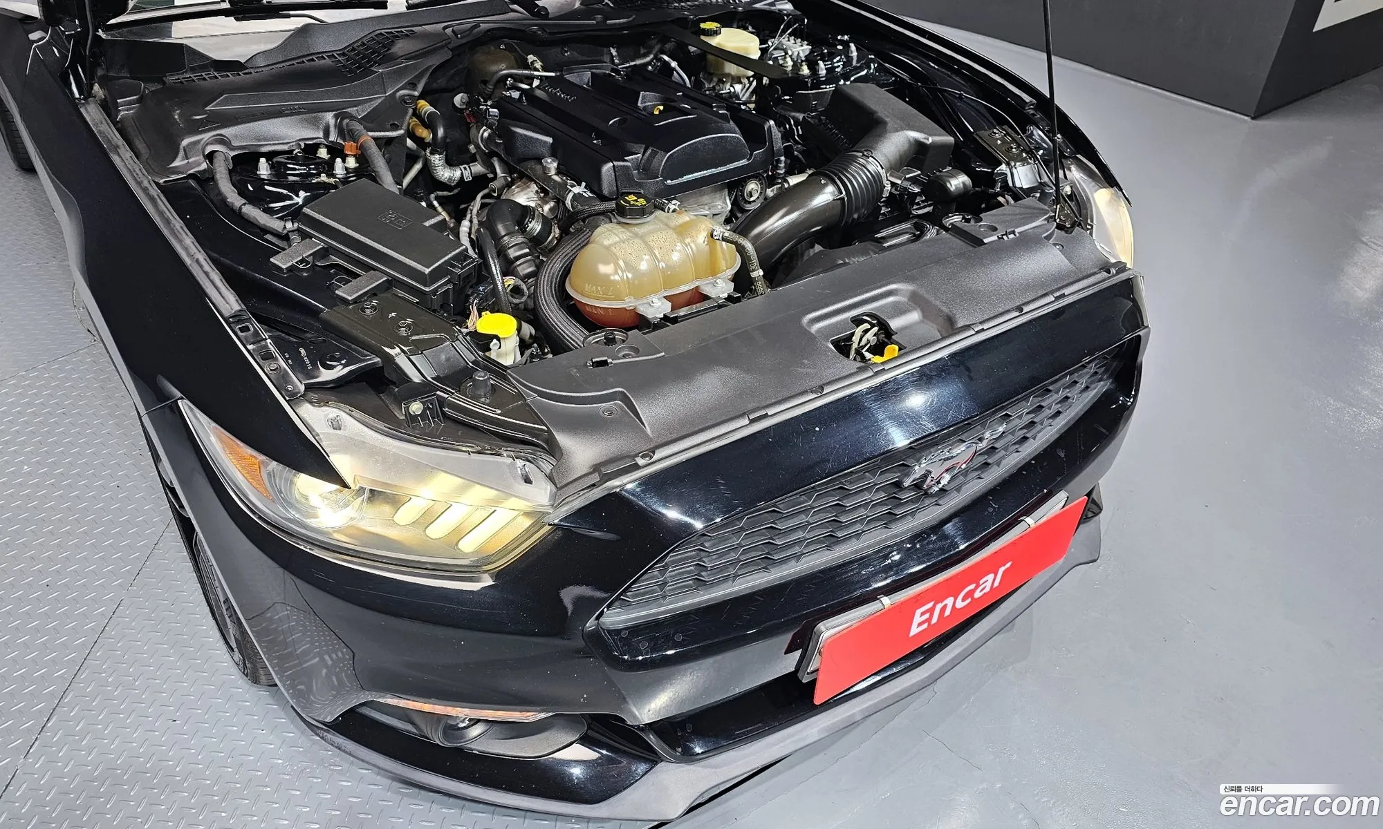 Ford Mustang 2016 1FA6P8TH1G5308707 — 12