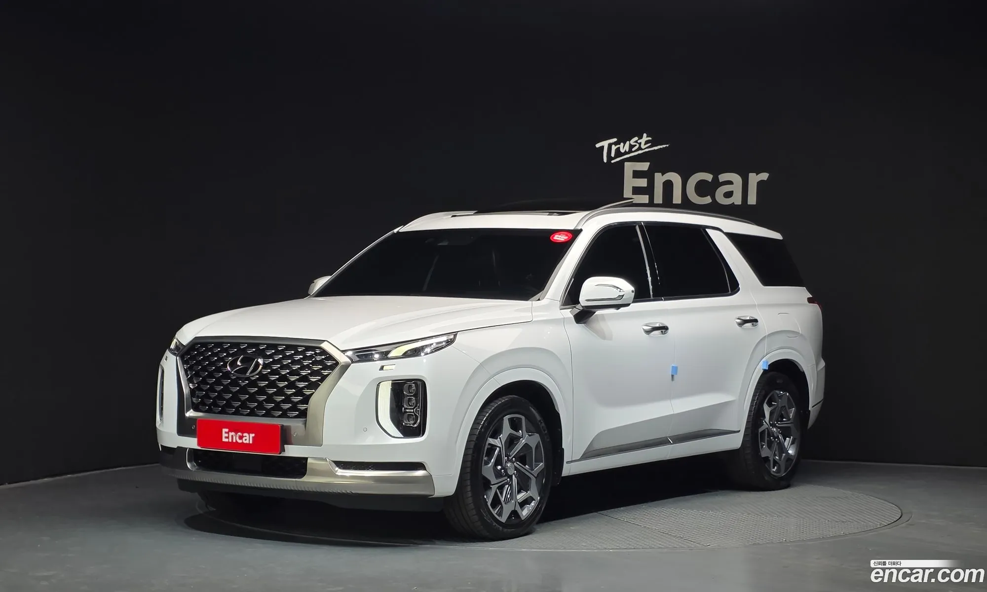 Hyundai Palisade 2022 — 14