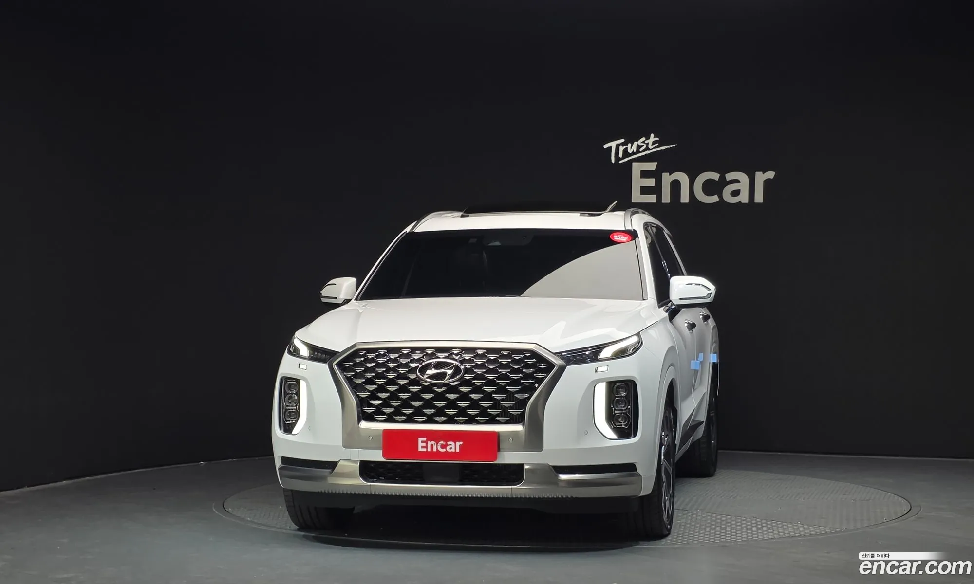 Hyundai Palisade 2022 — 20