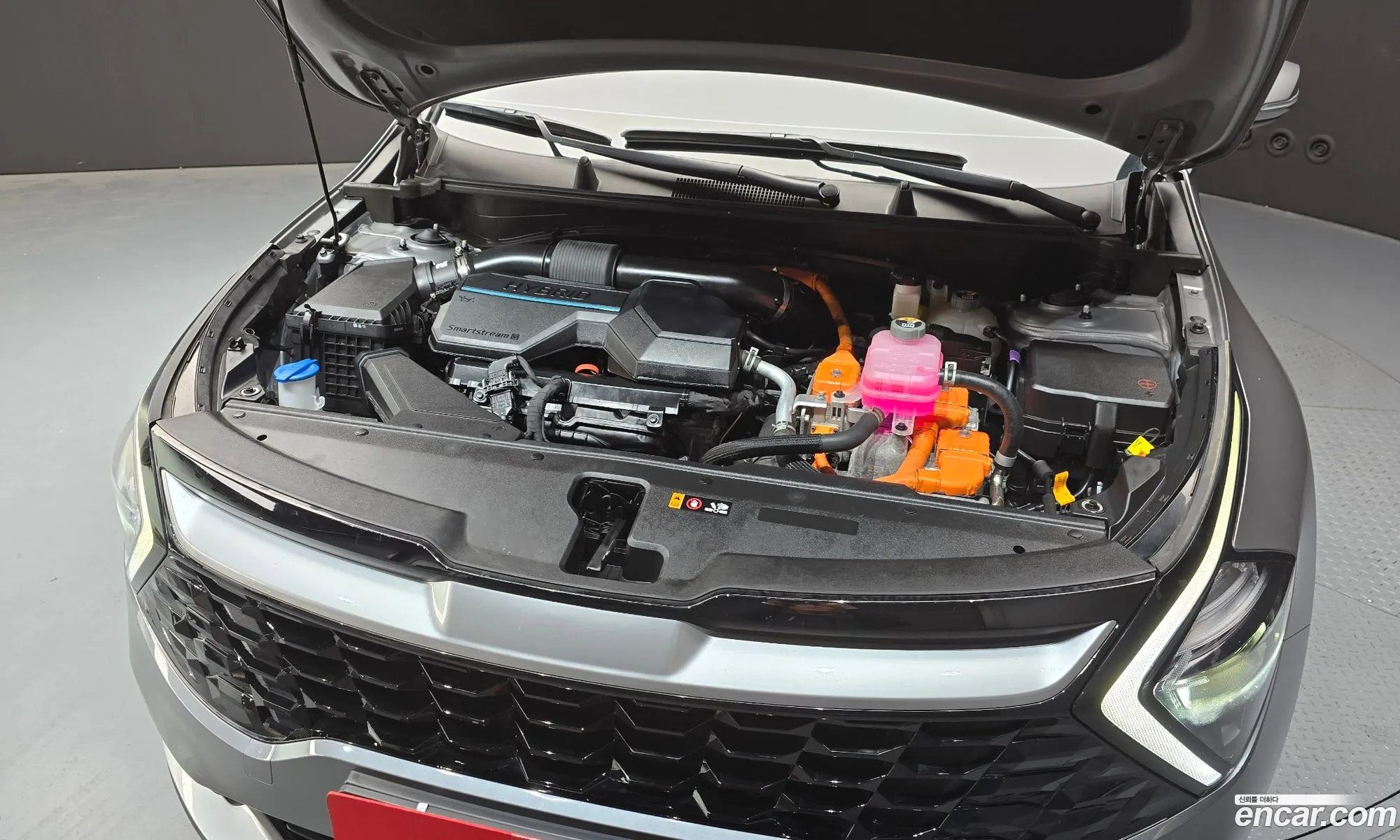 Kia Sportage Hybrid 2024 — 2