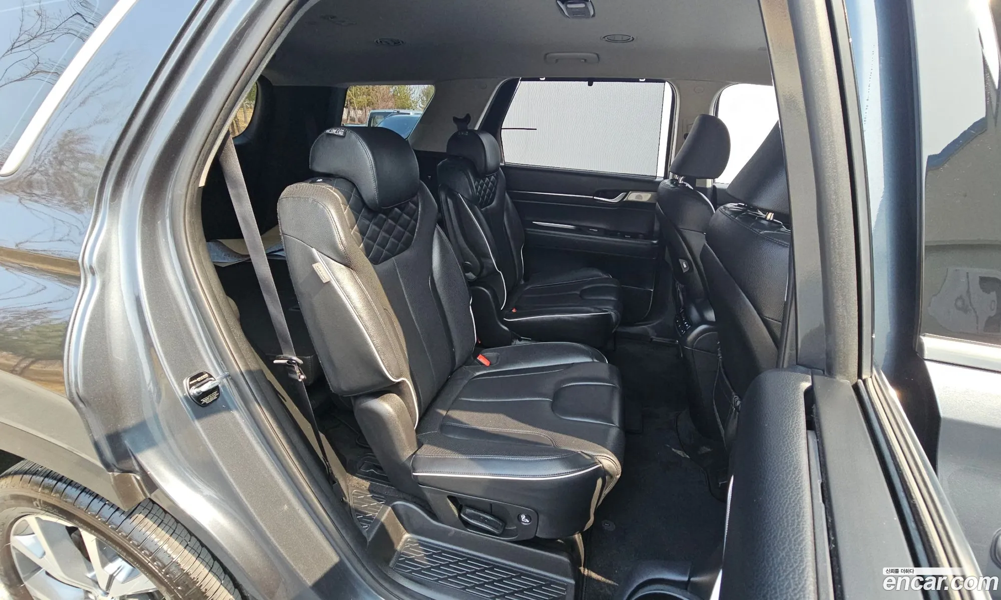 Hyundai Palisade 2019 — 7